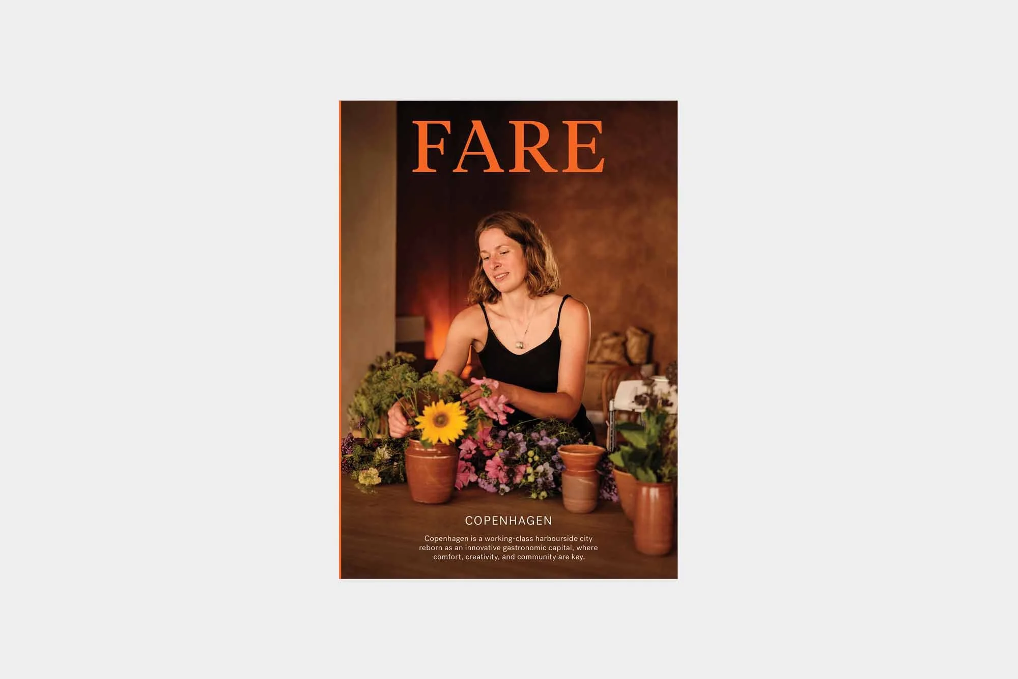 Fare-12_Copenhagen_cover.jpg