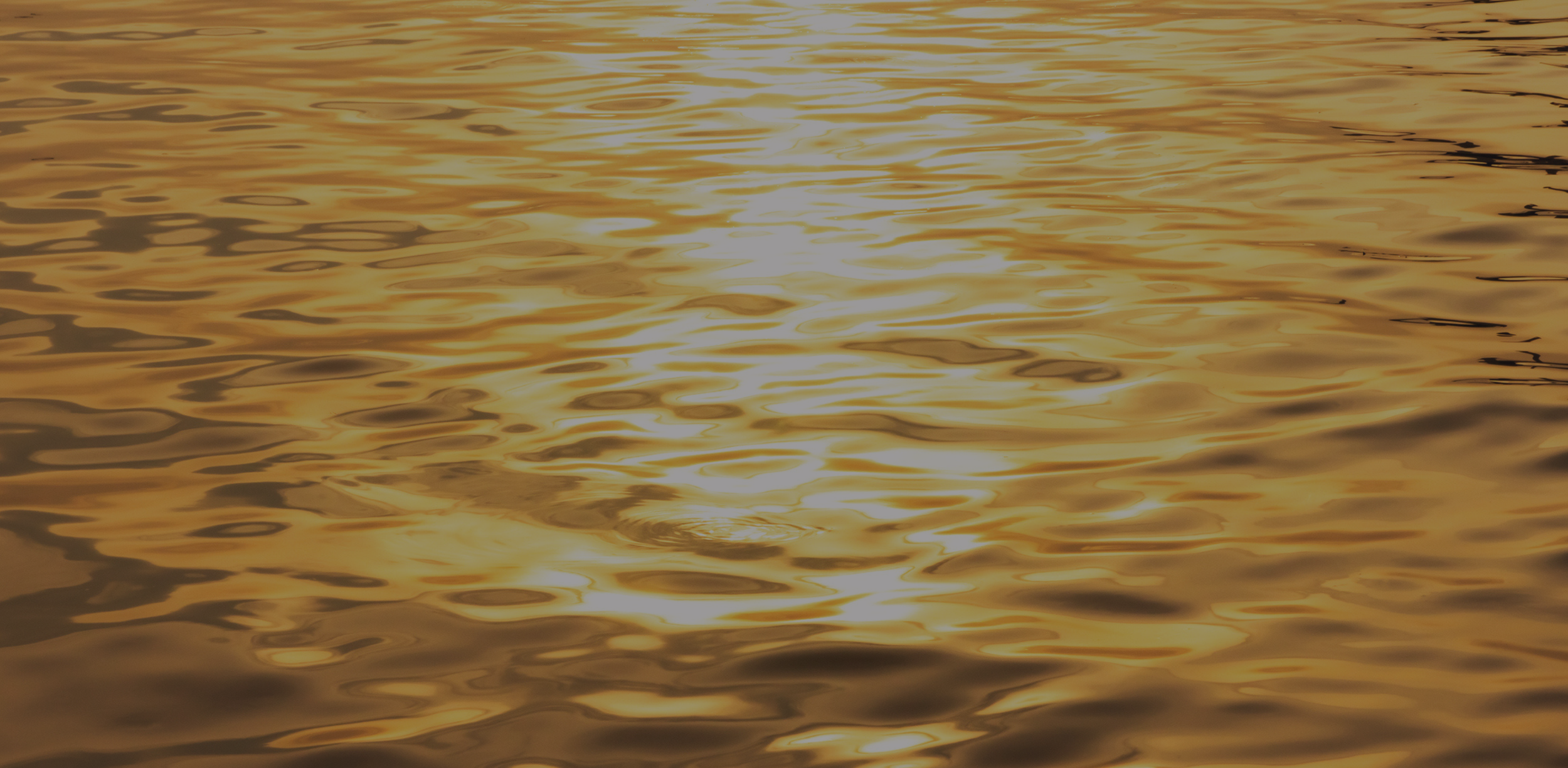 Untitled design (10).png