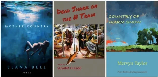 Lit Youngstown presents: Elana Bell, Susana H. Case, and Mervyn Taylor