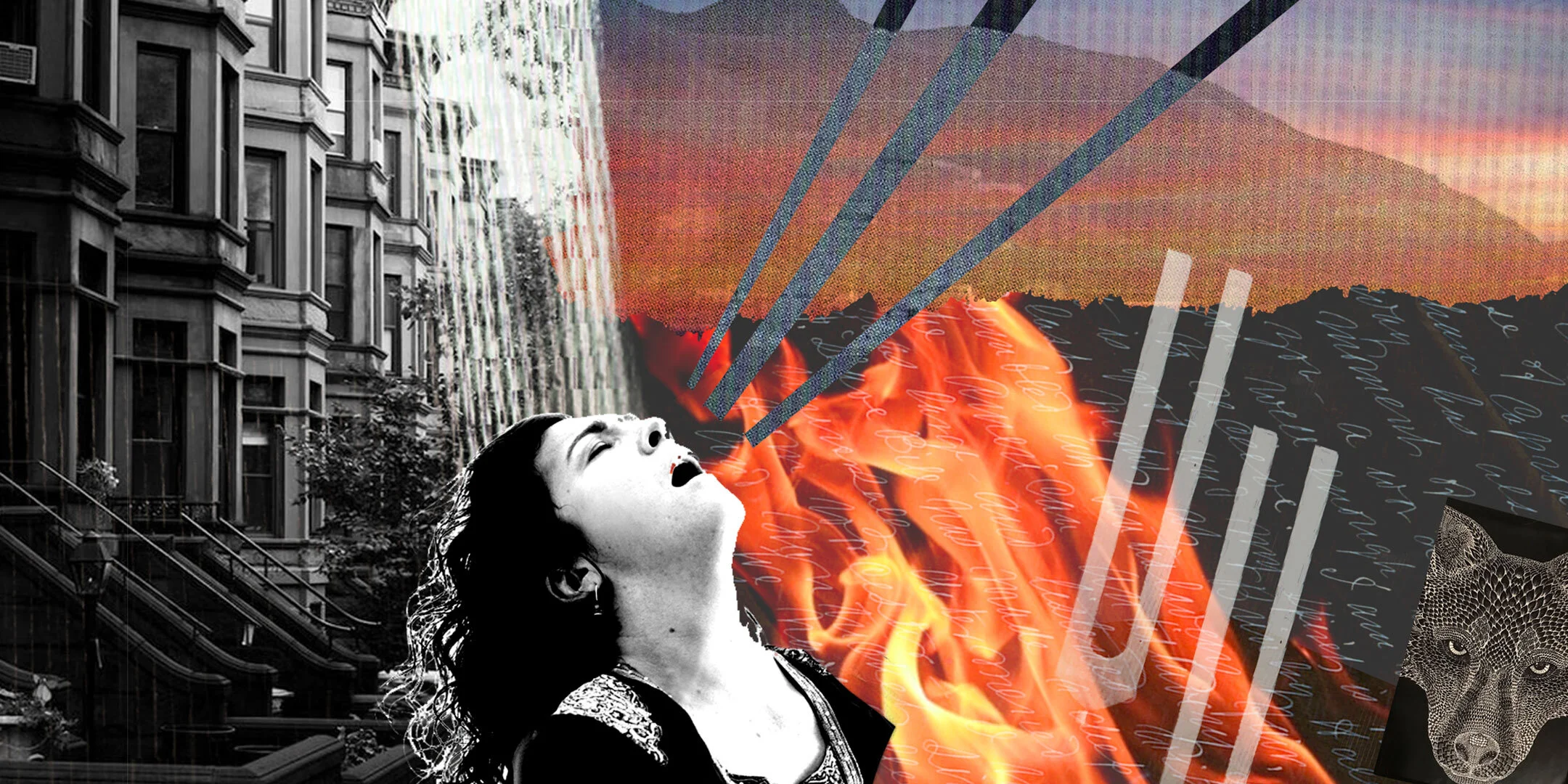 ELANA-BELL-COLLAGE2-OPTIMIZED.jpg