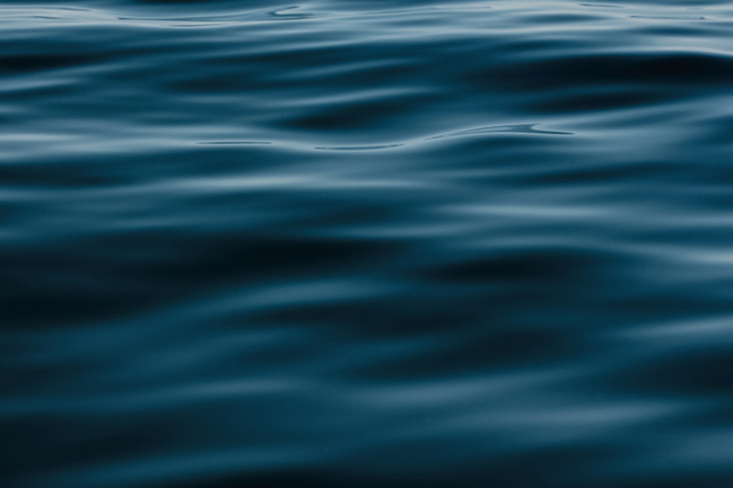unsplash-image-LCaKuYefLQk.jpg