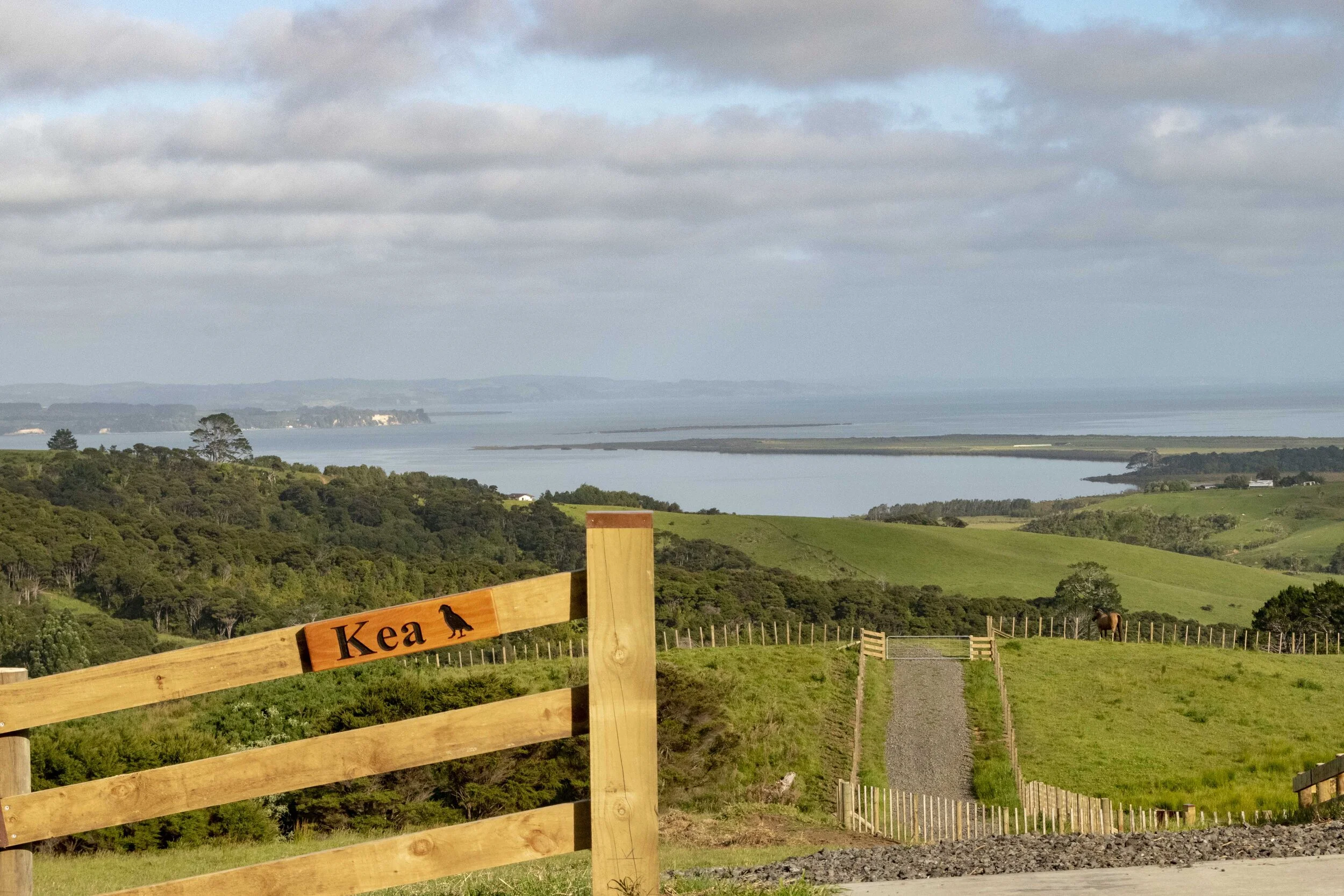 Kaipara Harbour View