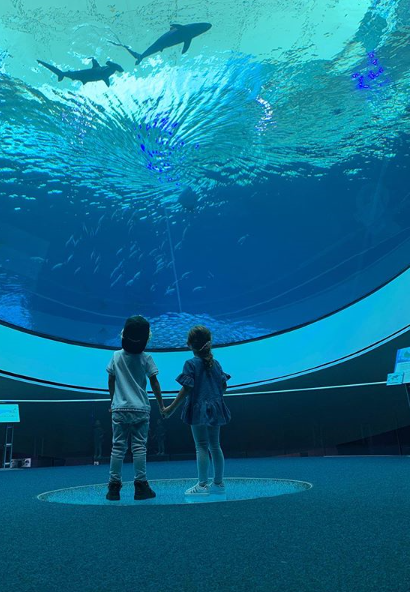 Sunday Funday 💙 If your in South Florida and looking for an amazing activity...