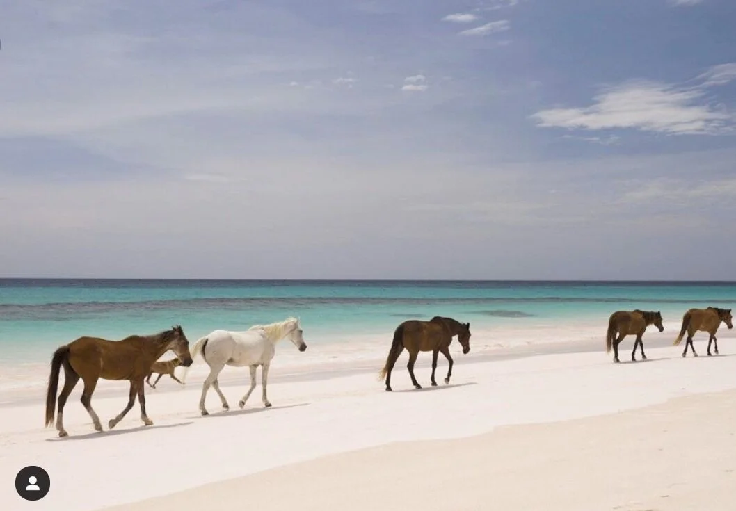 One of my all time favorite places to visit in the Caribbean...