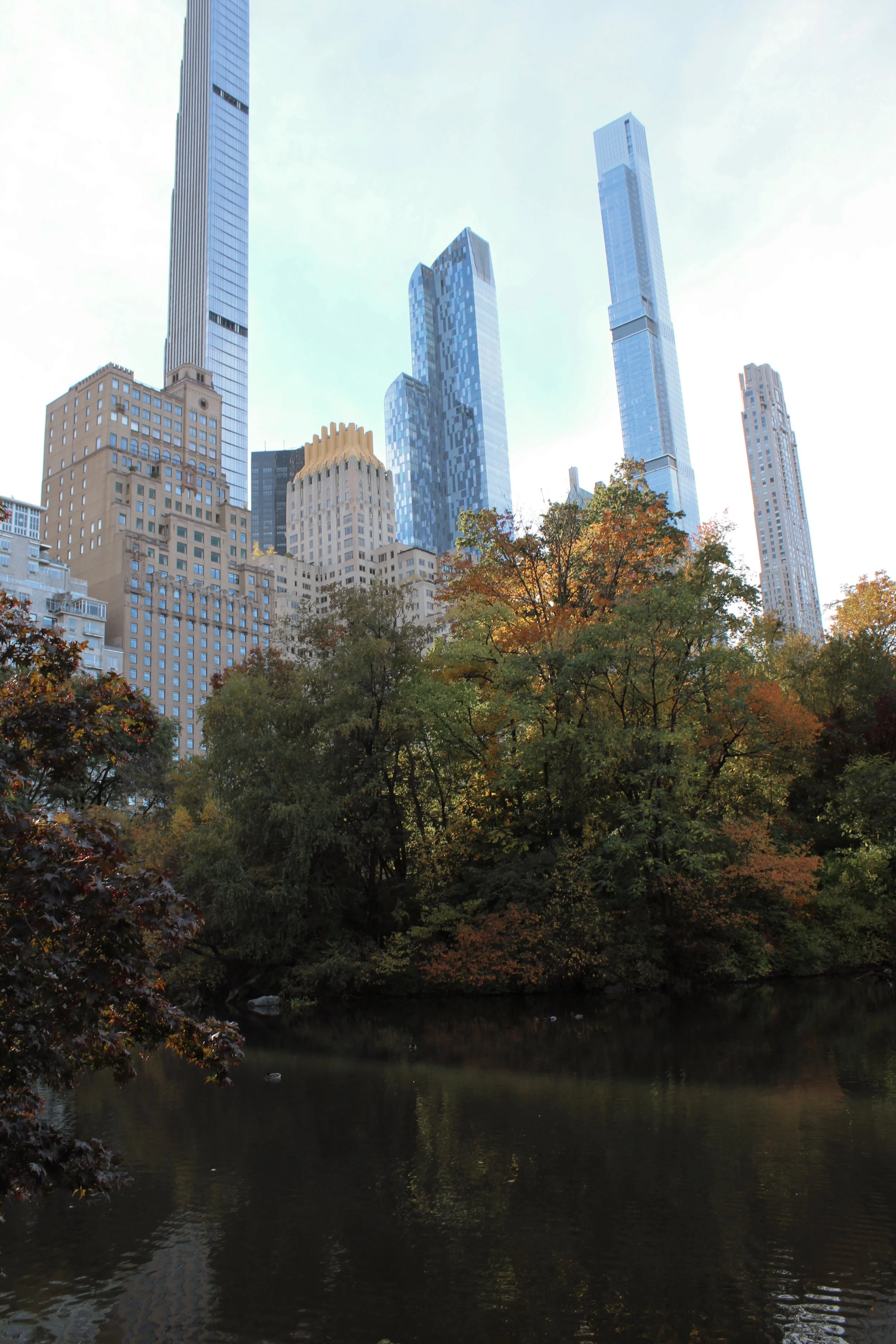 Fall foliage in Central Park in New York City with colorful autumn leaves and Manhattan skyline views
