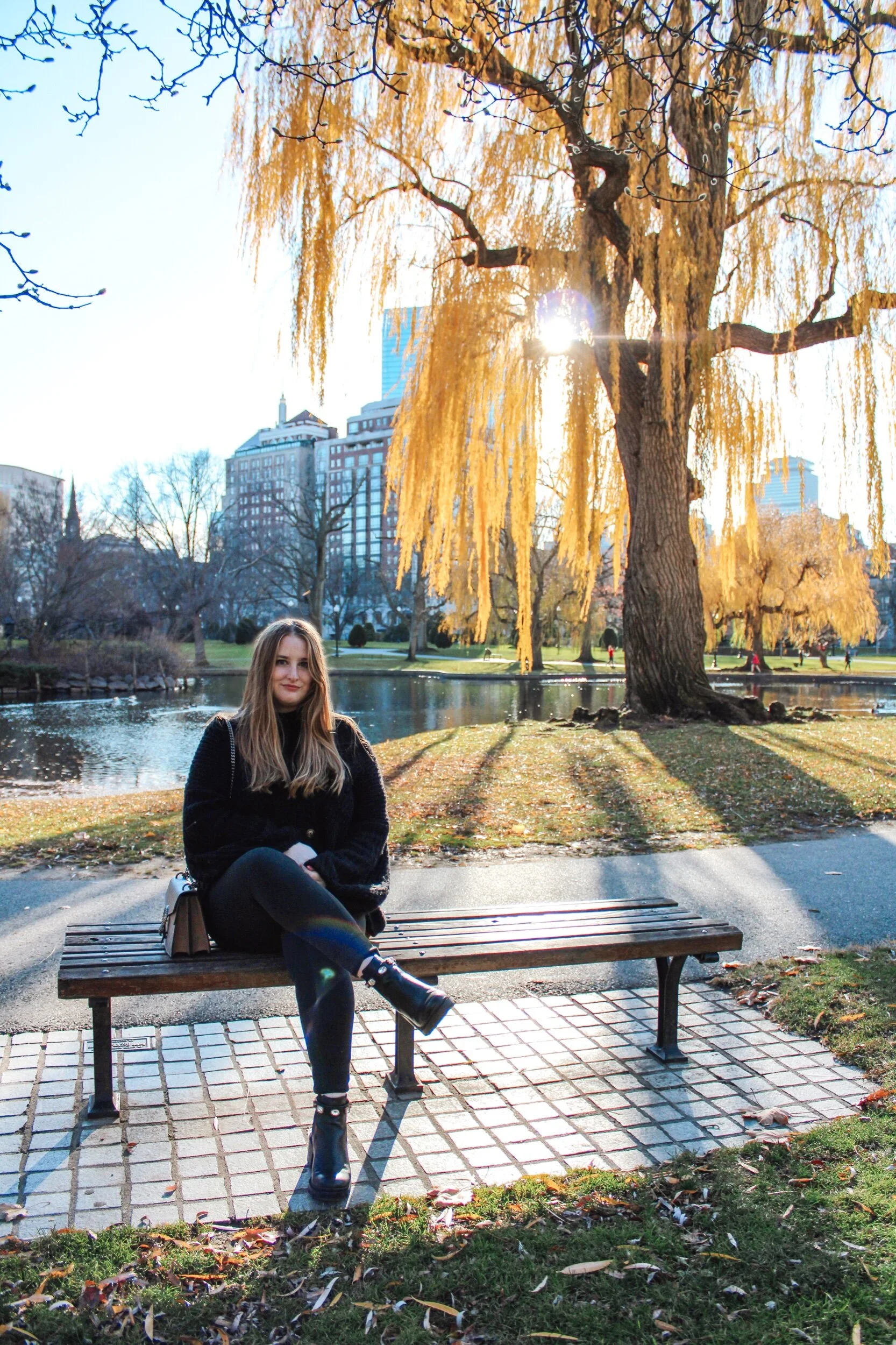 Fall in Boston Commons