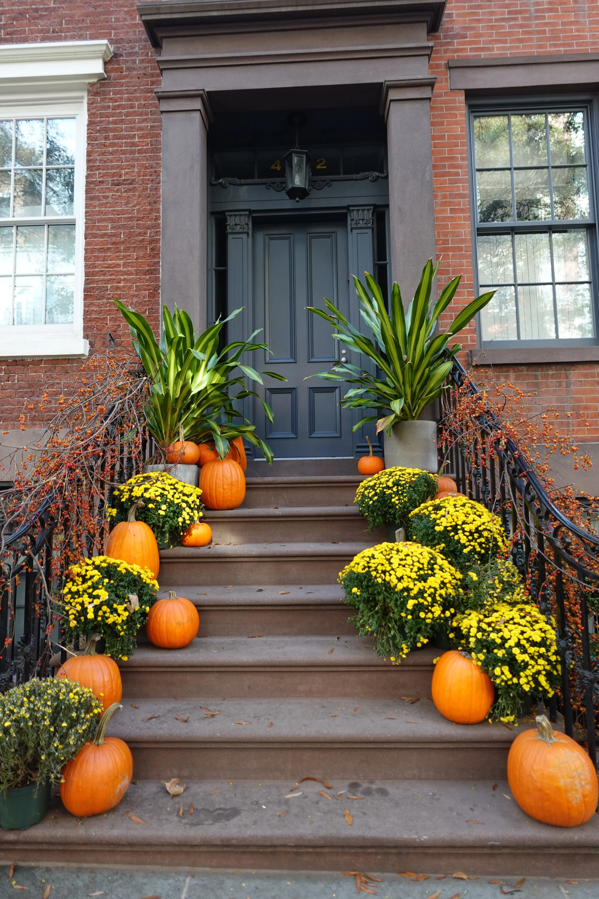  Historic NYC townhouse decorated for Halloween with carved pumpkins on the steps 