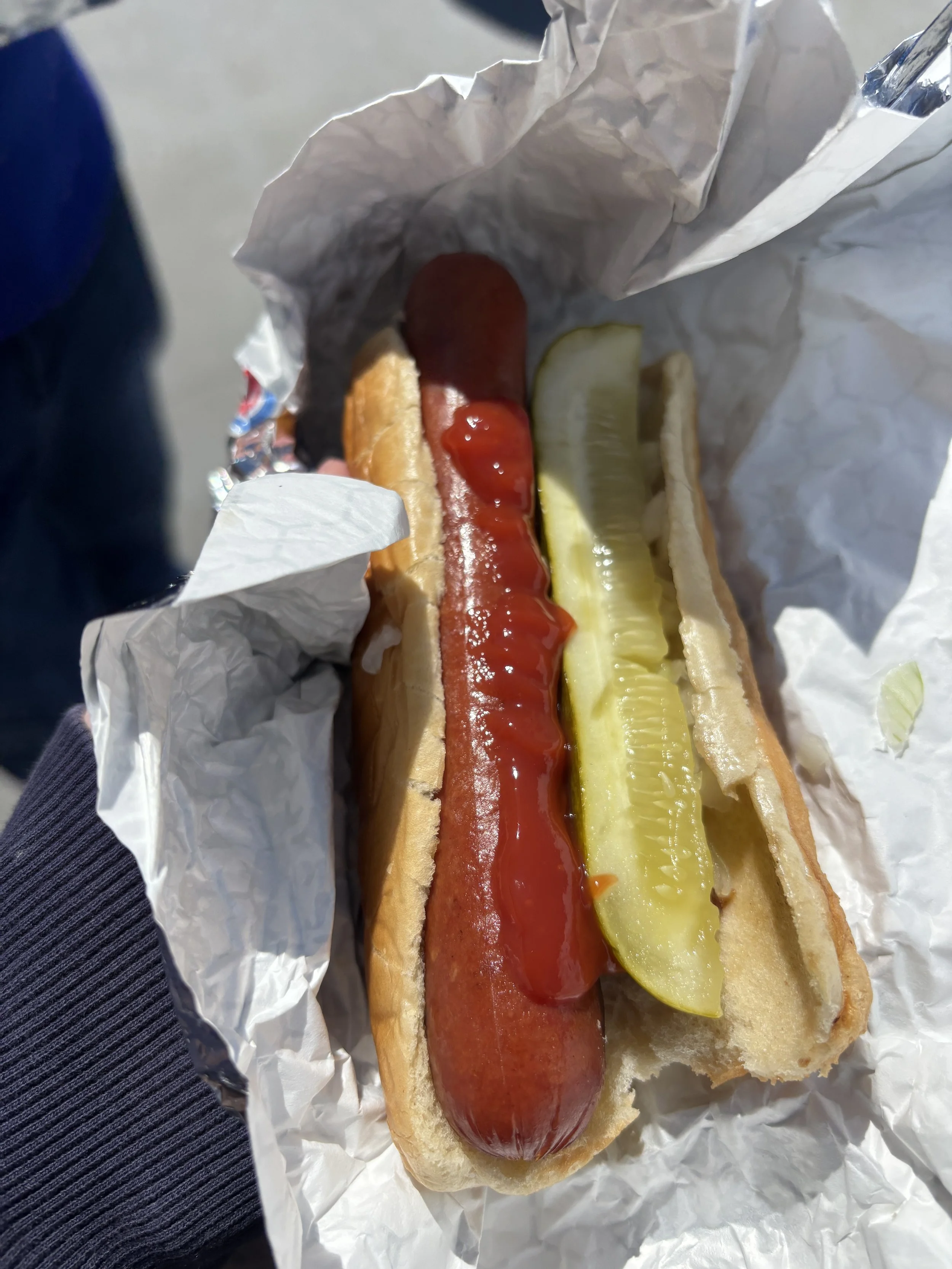 Food at Wrigley Field Chicago