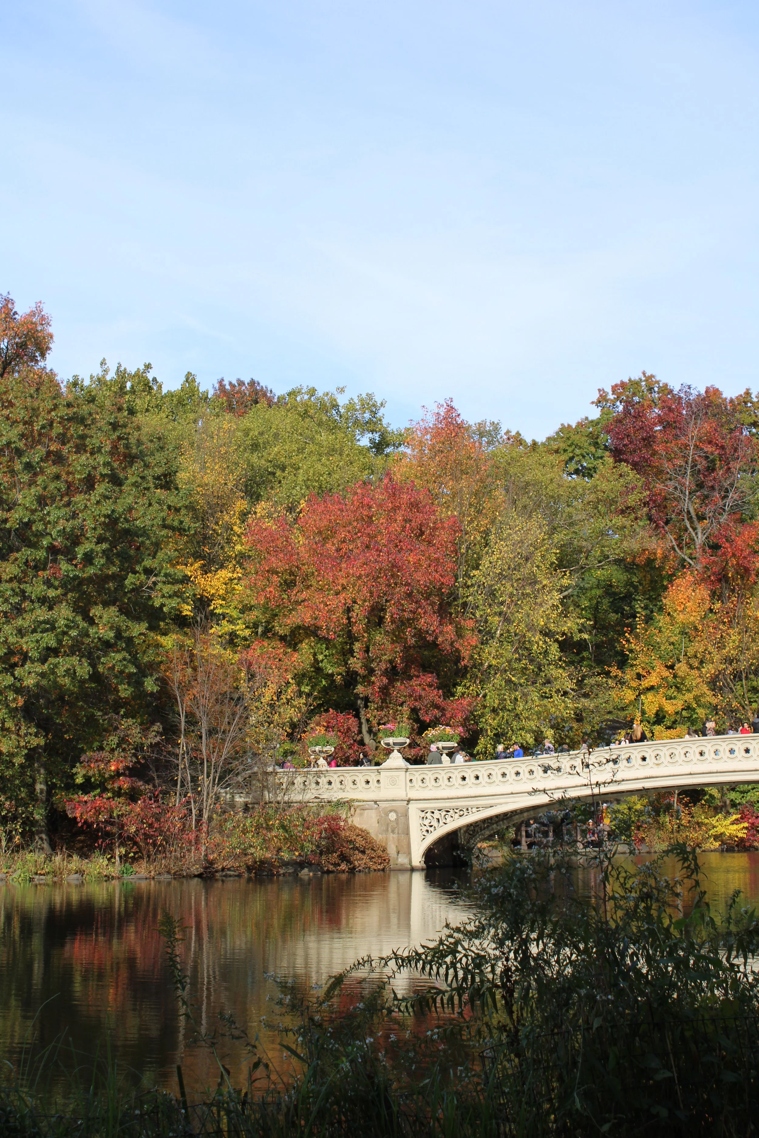 Autumn walk through Central Park in New York City surrounded by golden fall foliage