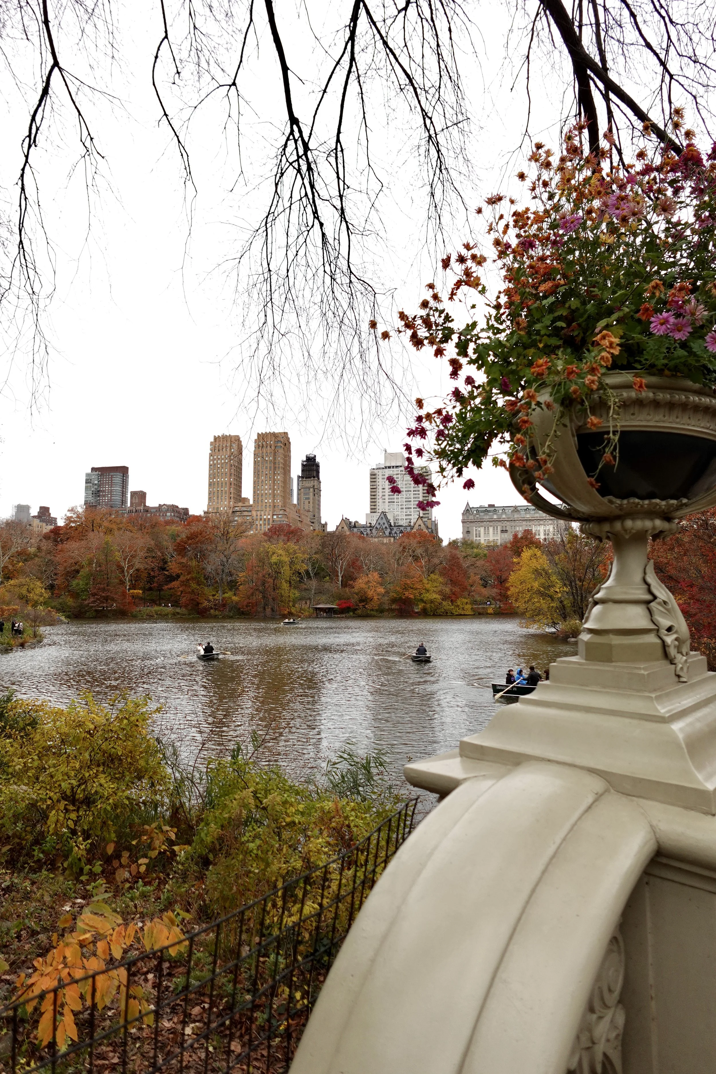 Fall foliage in Central Park in New York City with colorful autumn leaves and Manhattan skyline views