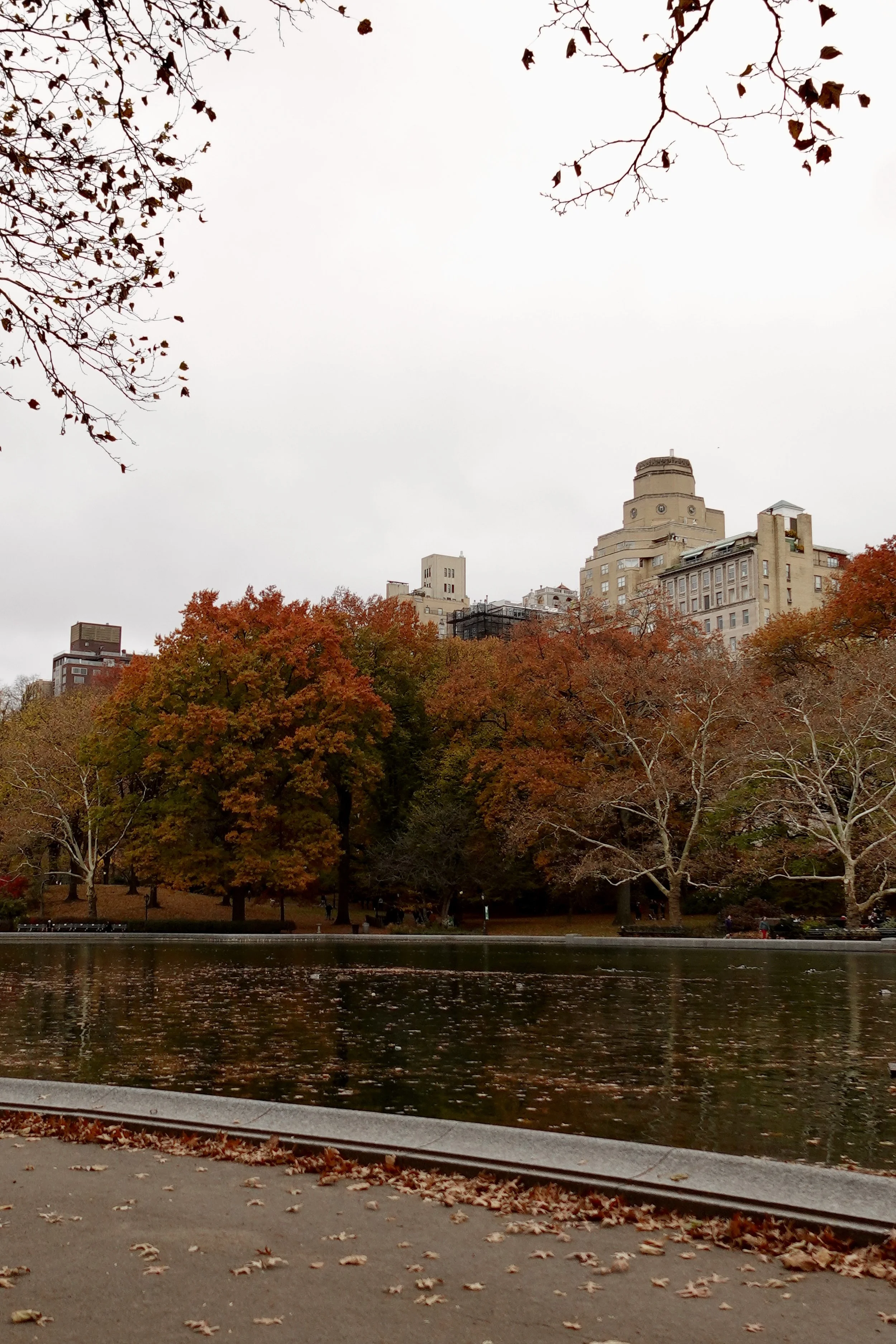 Fall foliage and historic streets in the Upper East Side of New York City