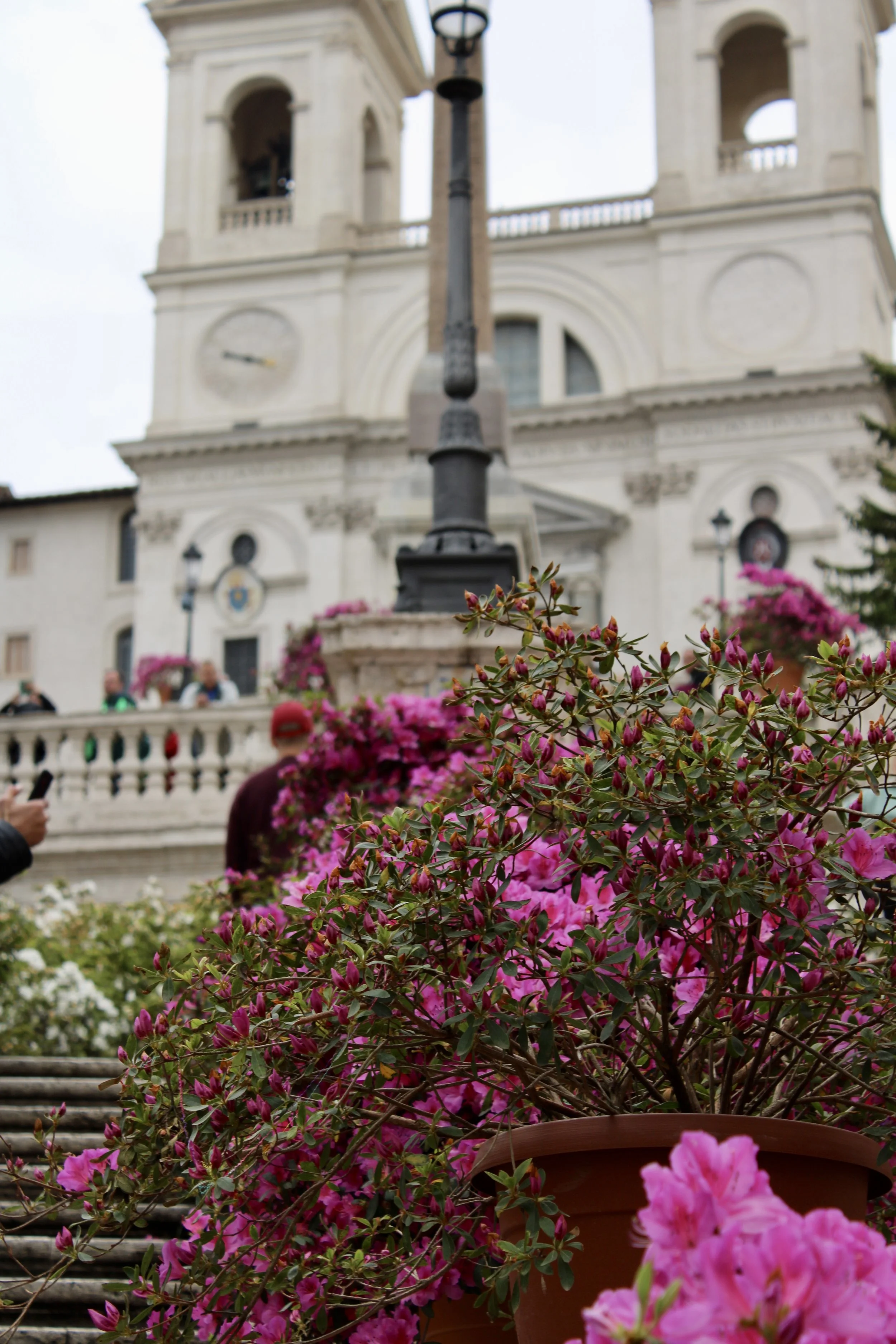Trevi Fountain in Rome
