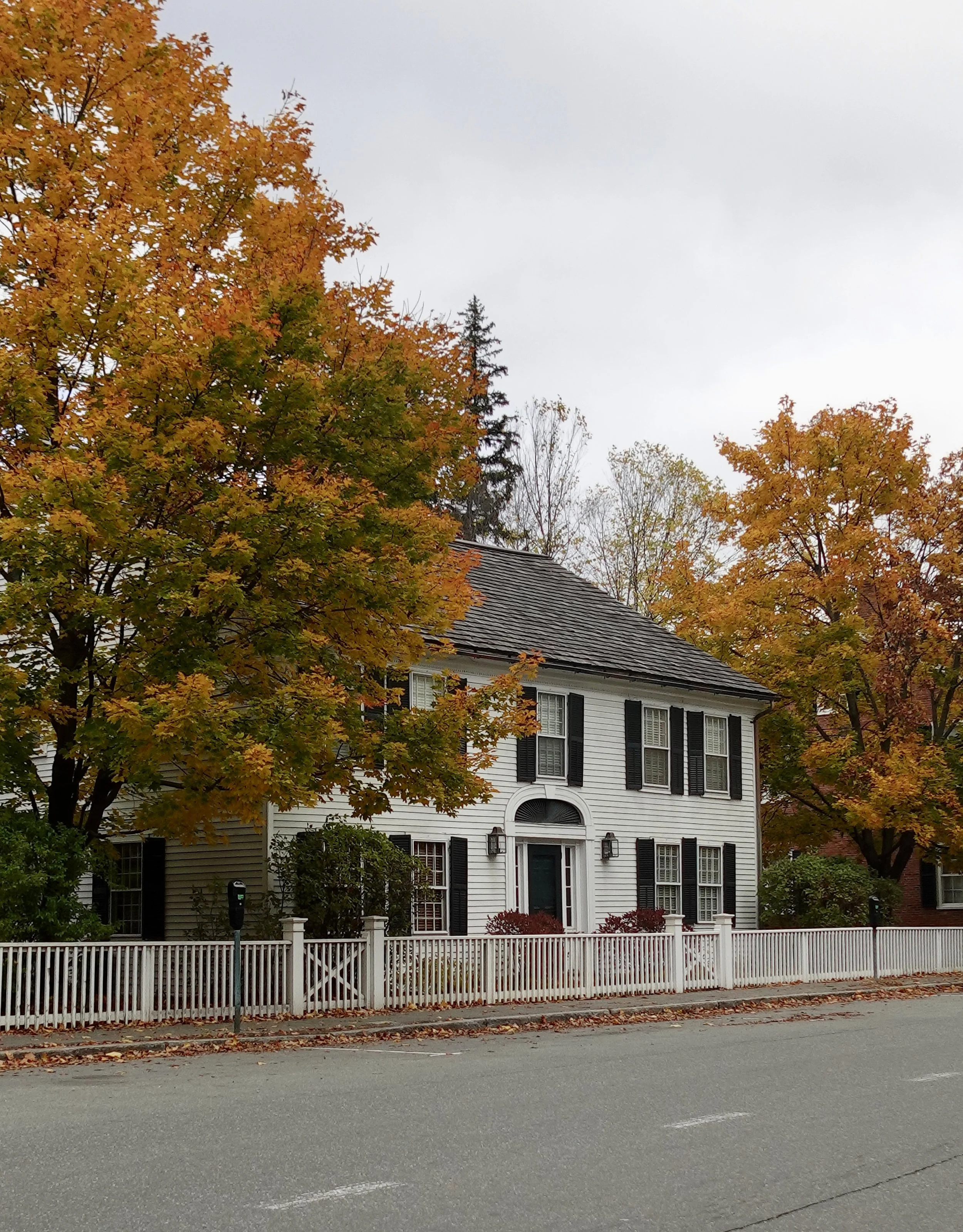 fall trees in front of home in woodstock