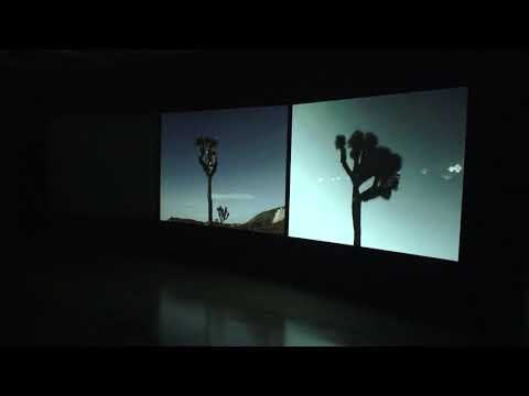 Boulevard, 12 minute DVD projected installation