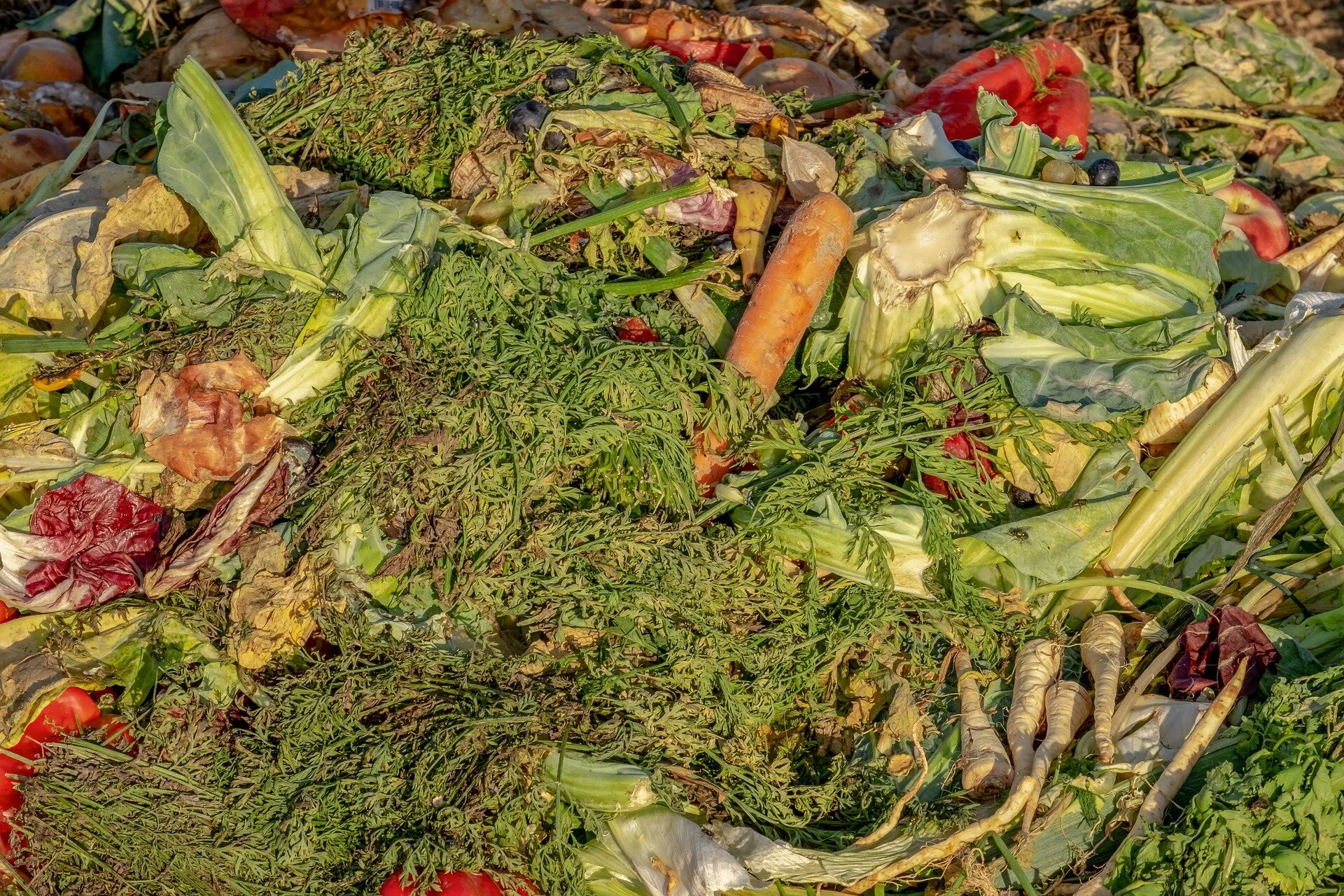 7 Simple Changes You Can Make Right Now To Help The Environment