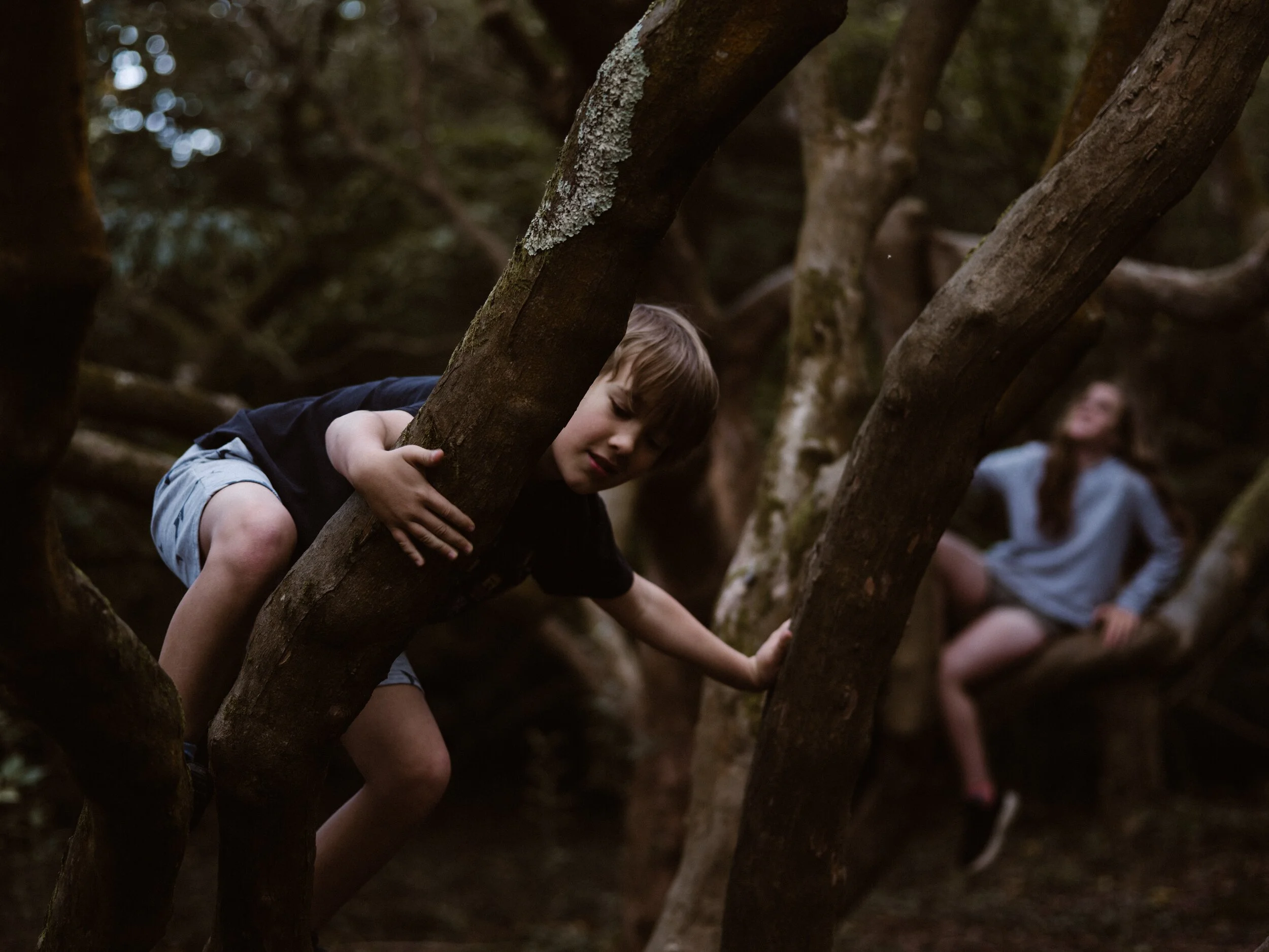 Play Based Learning Is Best For Children