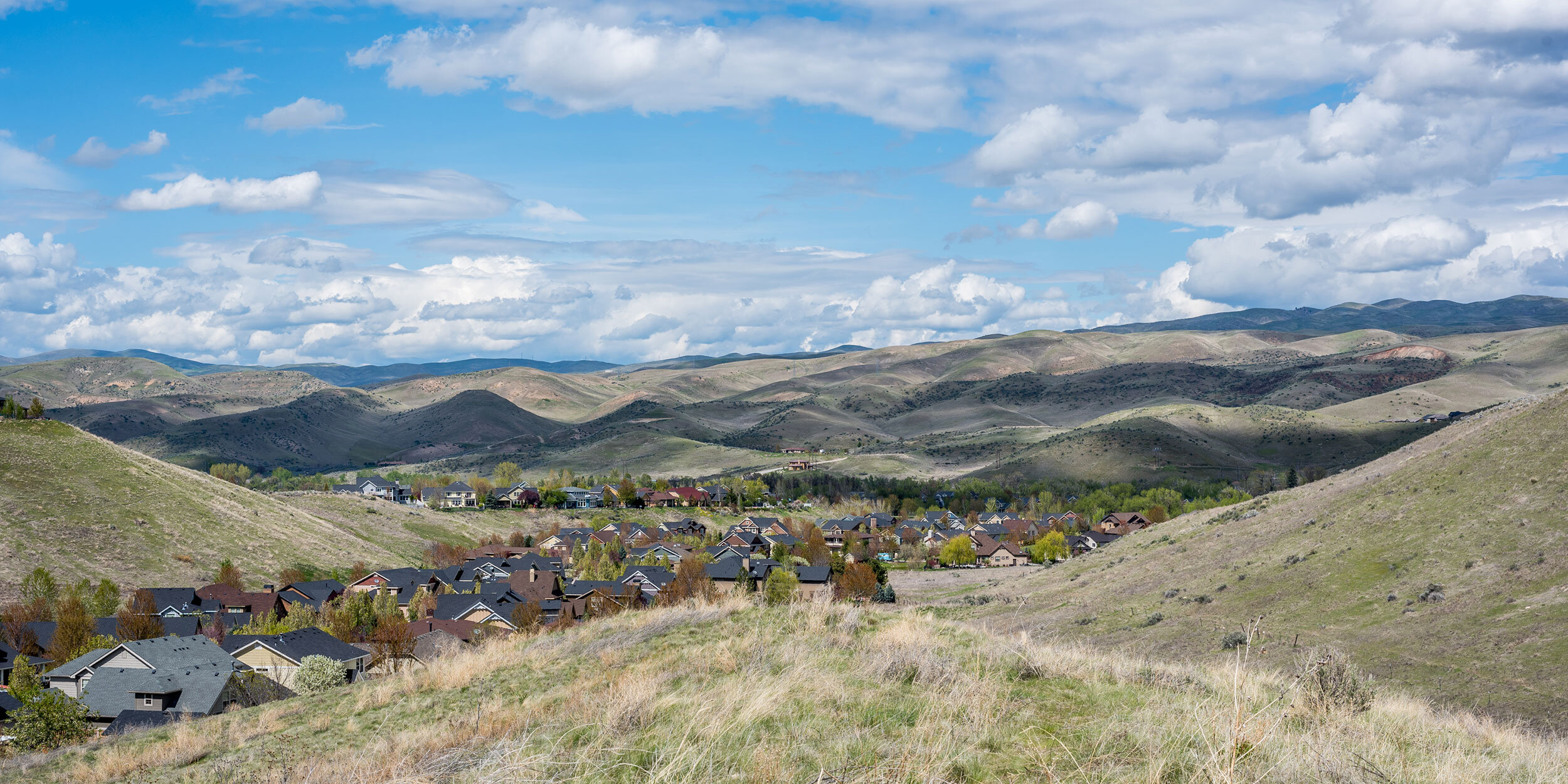Foothills.jpg