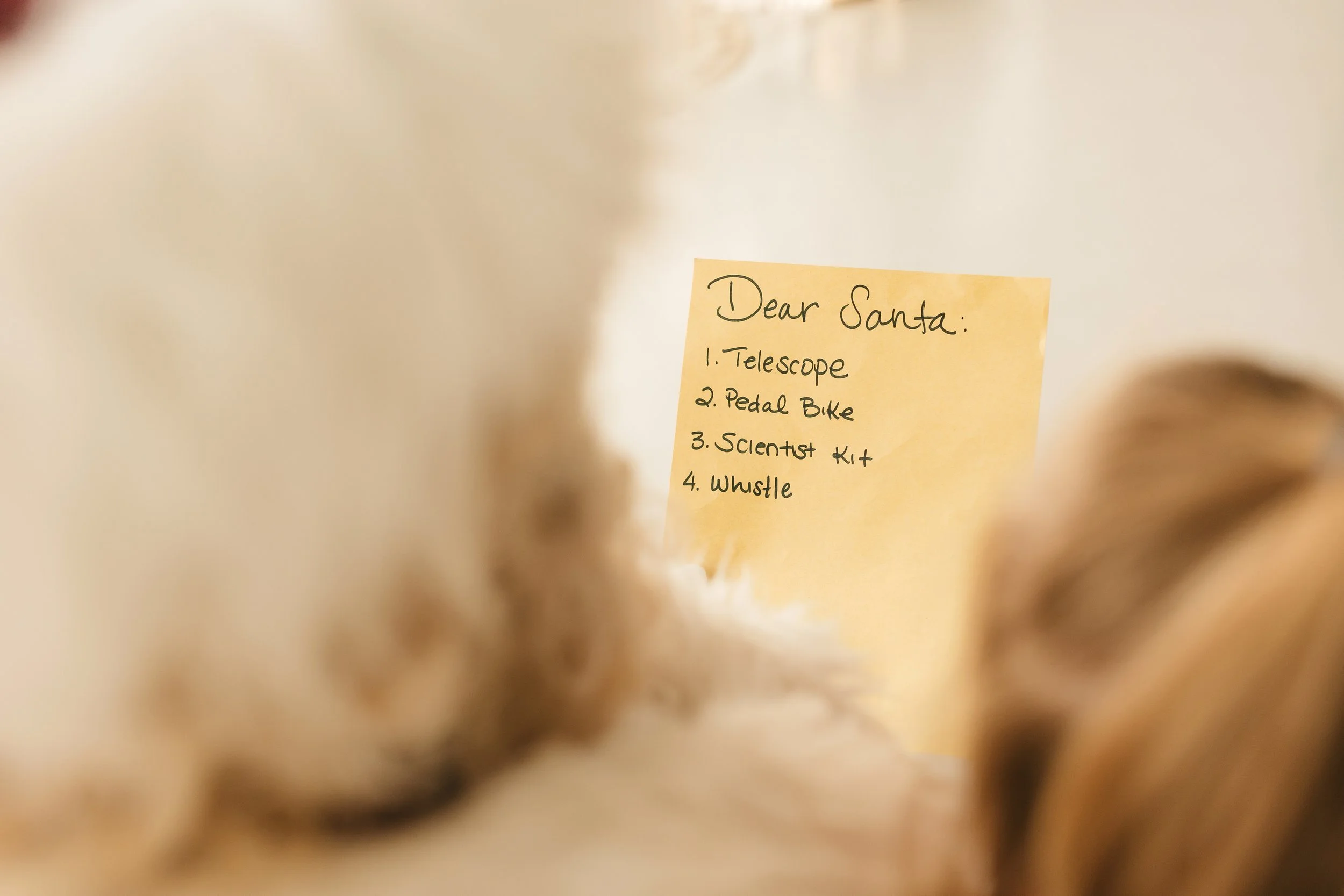 Borman santa -11.jpeg