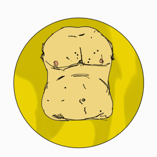 Torso_Gif.gif