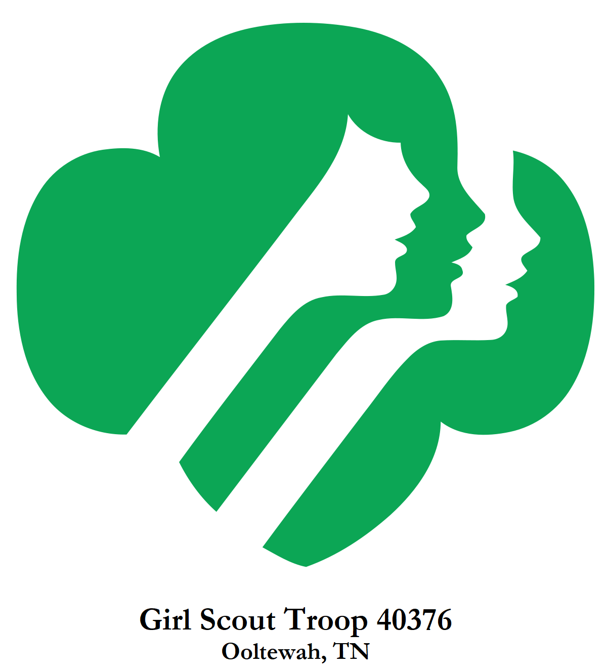 GS Troop 40376.png