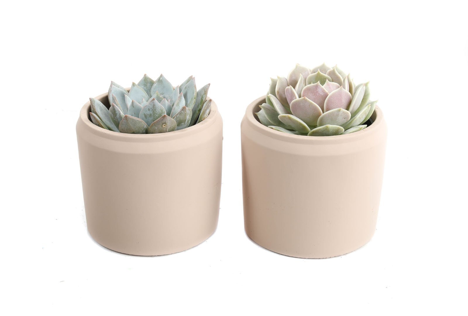 4in+beige+ech+copy.jpeg