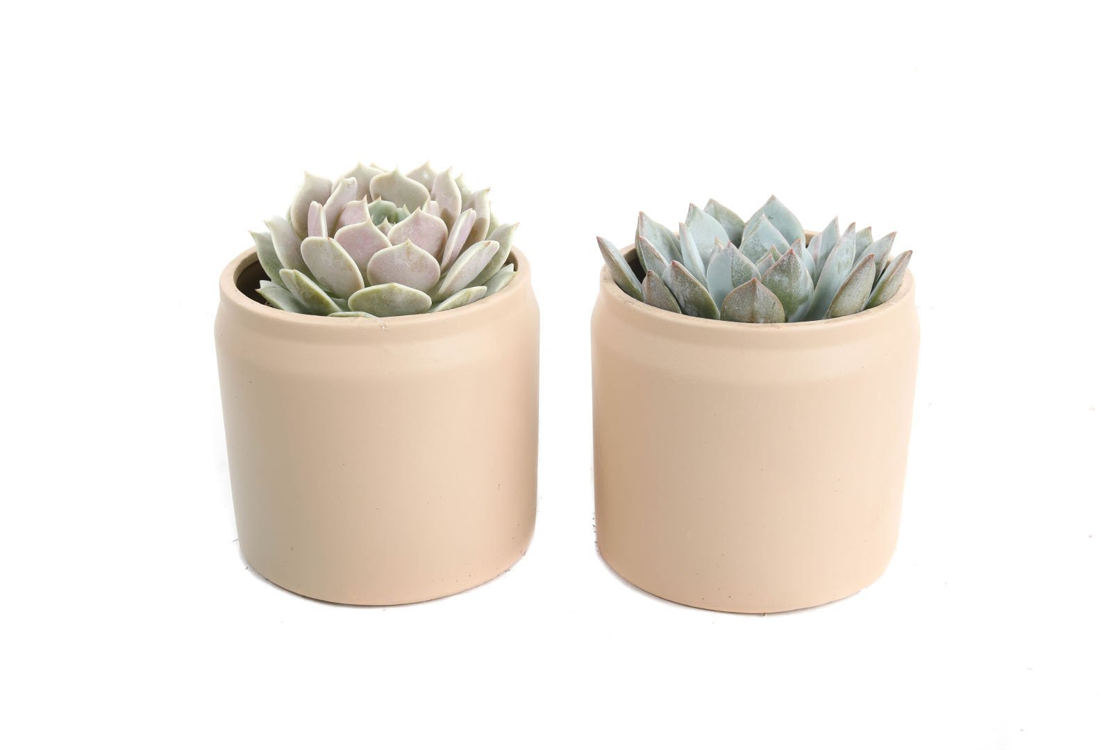 4in+beige+ech.jpeg