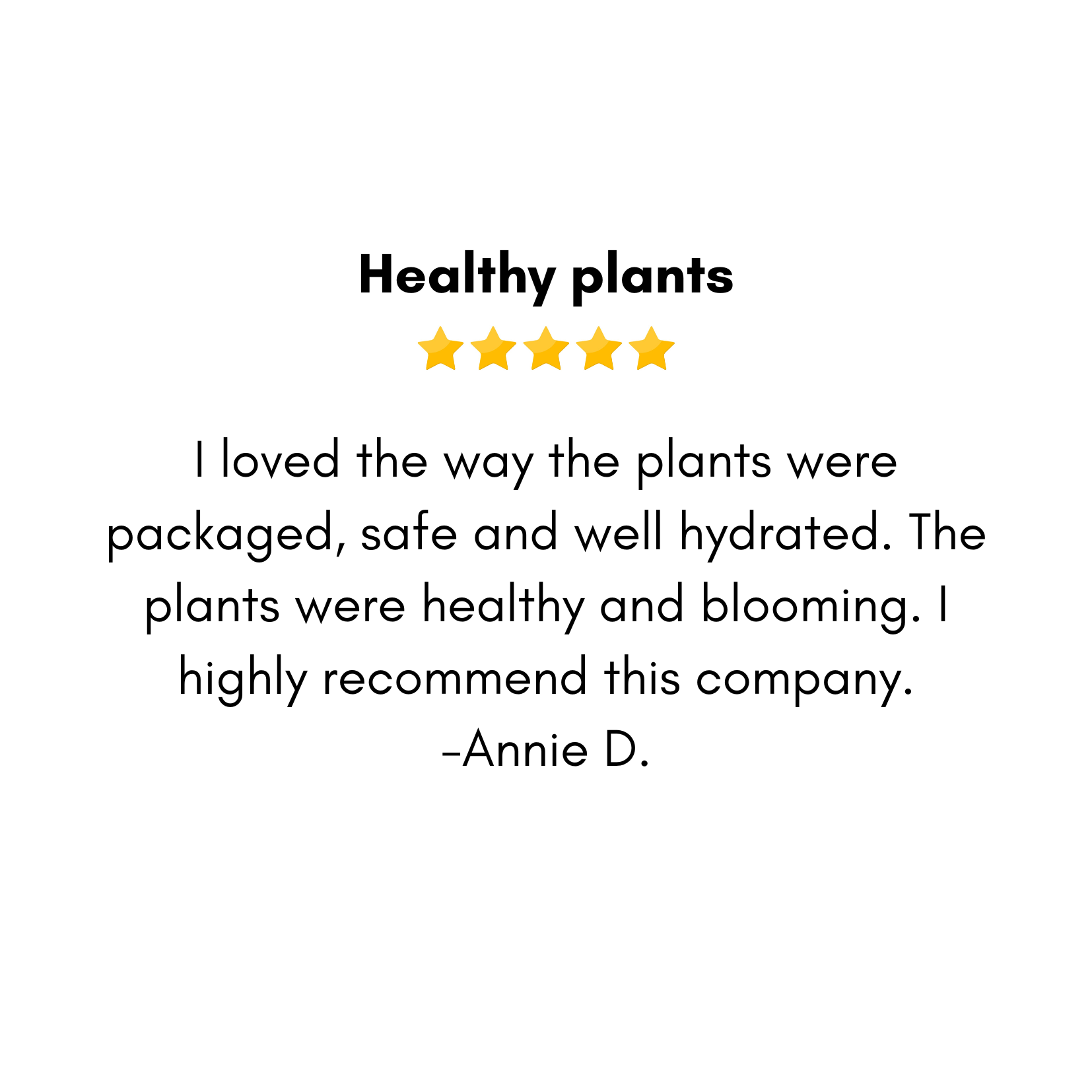 I loved the way the plants were packaged, safe and well hydrated. The plants were healthy and blooming. I highly recommend this company. -Annie D..png