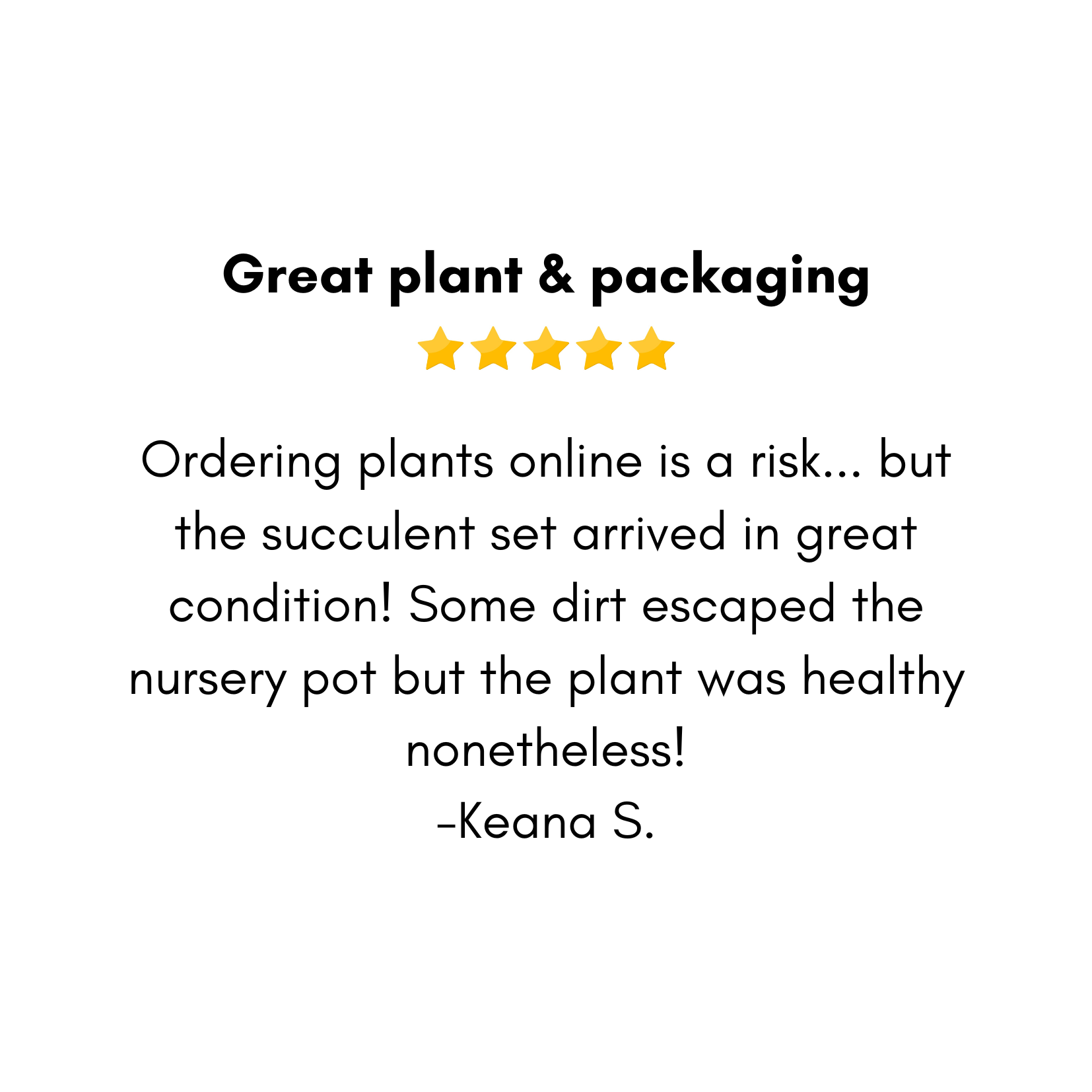 I loved the way the plants were packaged, safe and well hydrated. The plants were healthy and blooming. I highly recommend this company. -Annie D. copy 2.png