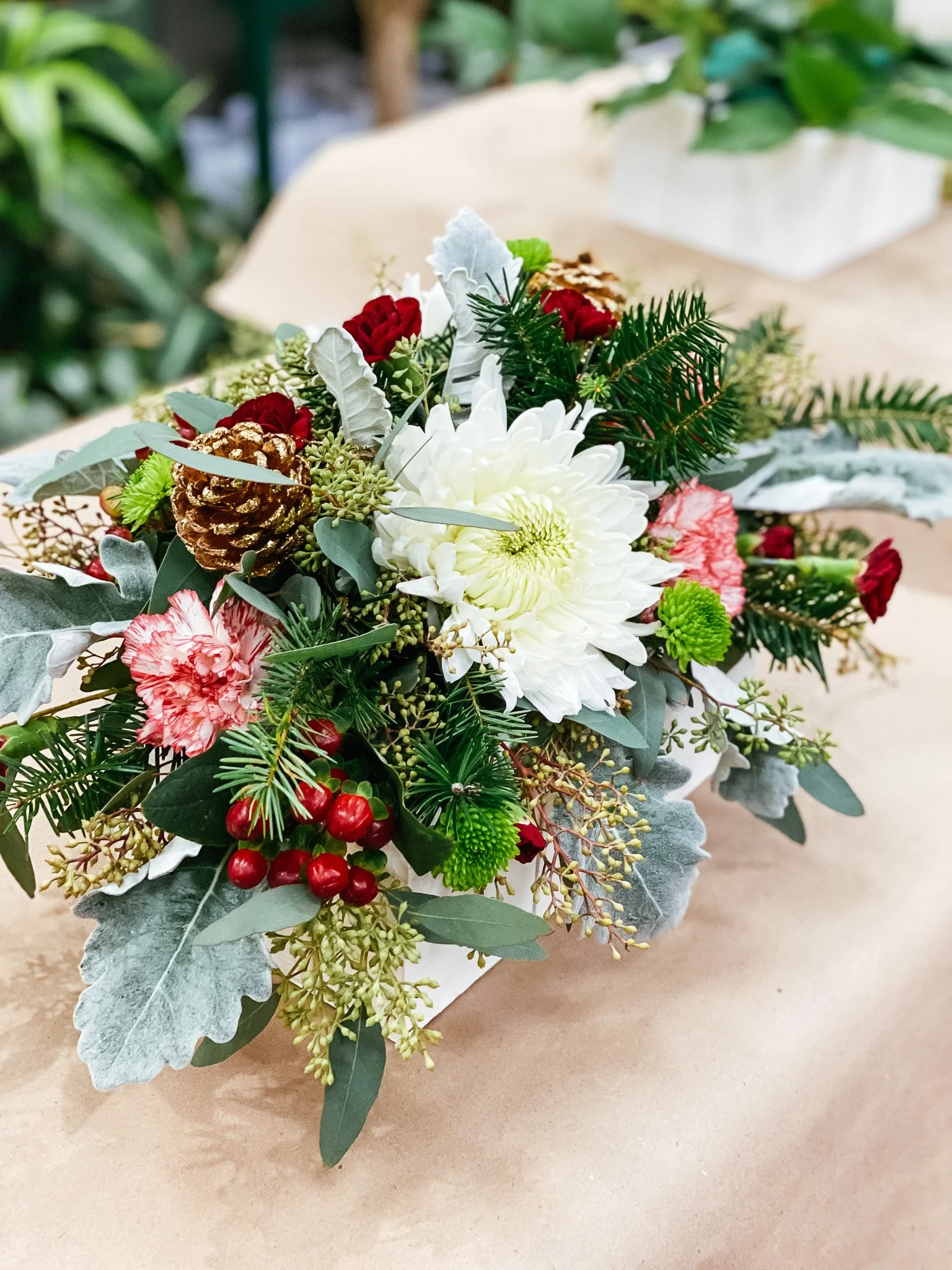 Shop All Plants — Plants by Post