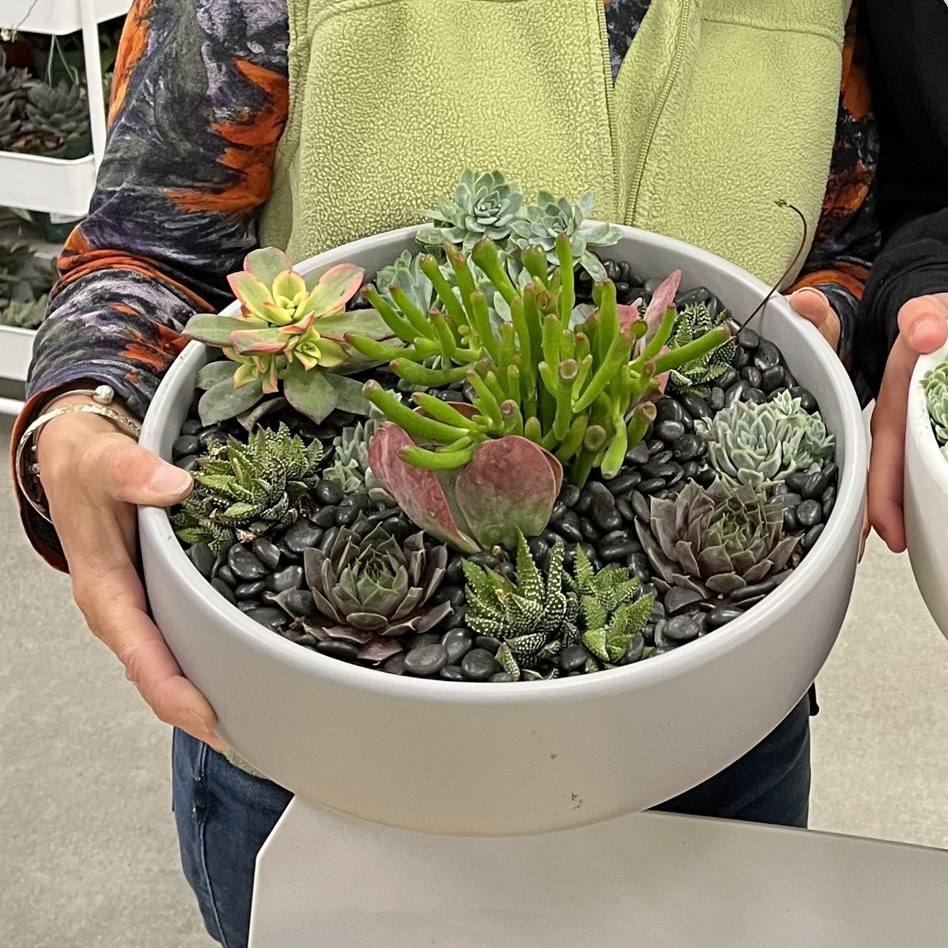 Succulent Arranging Workshop