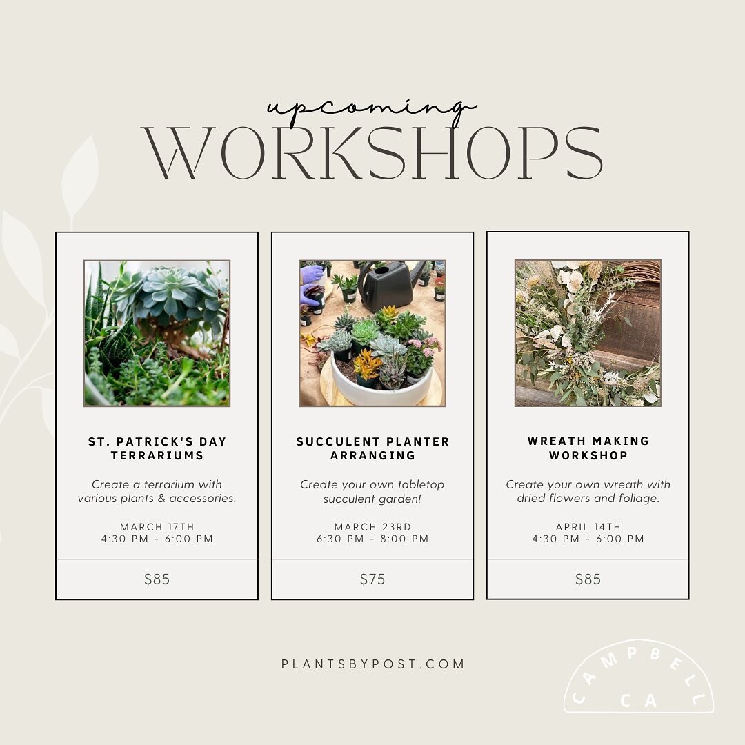 Spring workshops are live! The roster is full of classics as well as some special workshops for Mother's Day. We're excited to see you💐 Sign up at plantsbypost.com/workshops