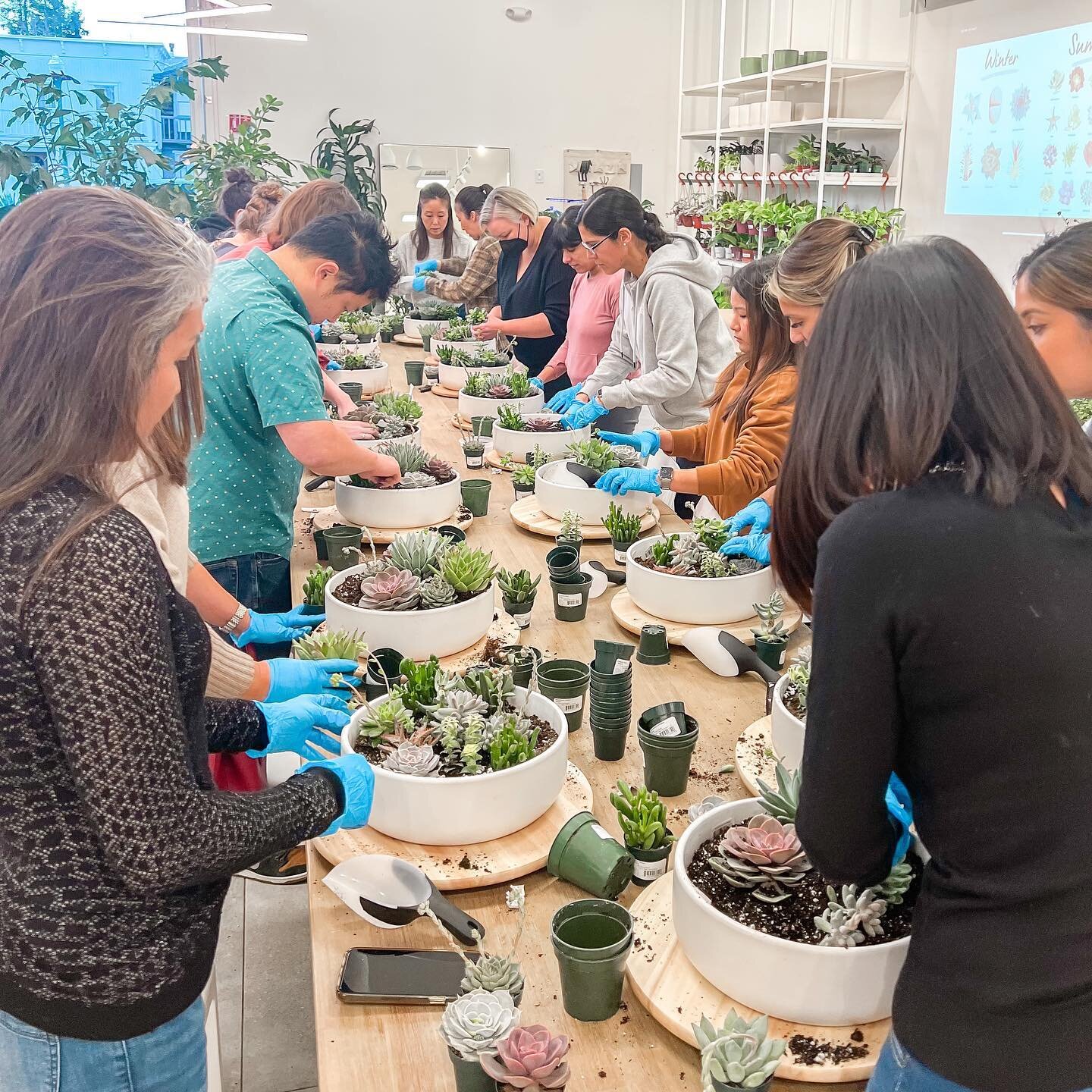 We kicked off our Winter workshops this evening with a customer favorite: Succulent Arranging! We love seeing everyone&rsquo;s unique arrangements come together in these matte white 12&rdquo; succulent bowls 🤩

Join us for our heart shaped wreath ma