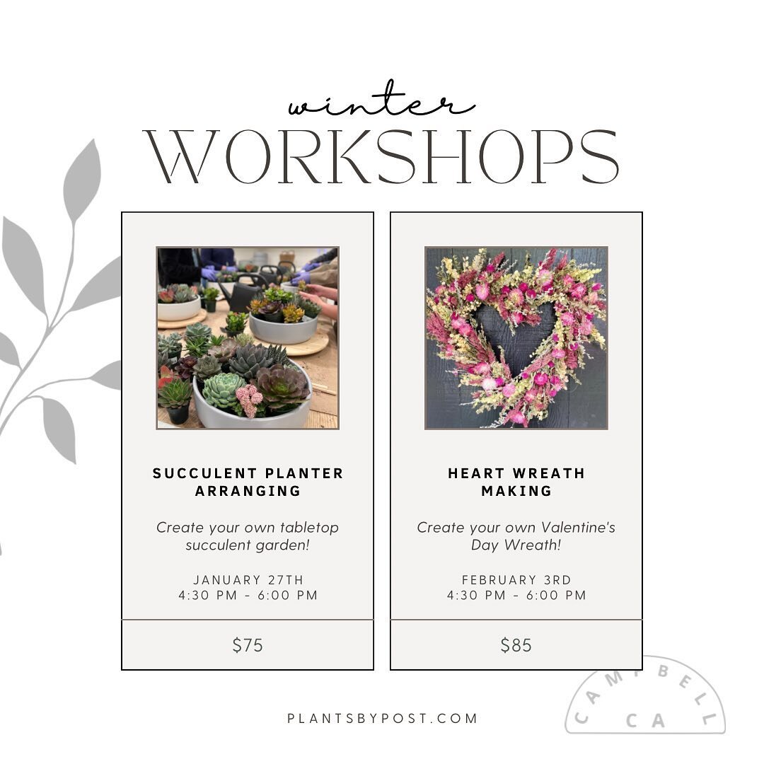 Our winter workshops are up on our site! Join us for another round of succulent, wreath, candle and floral activities to brighten up these cold winter nights 💕🌱💐🕯️