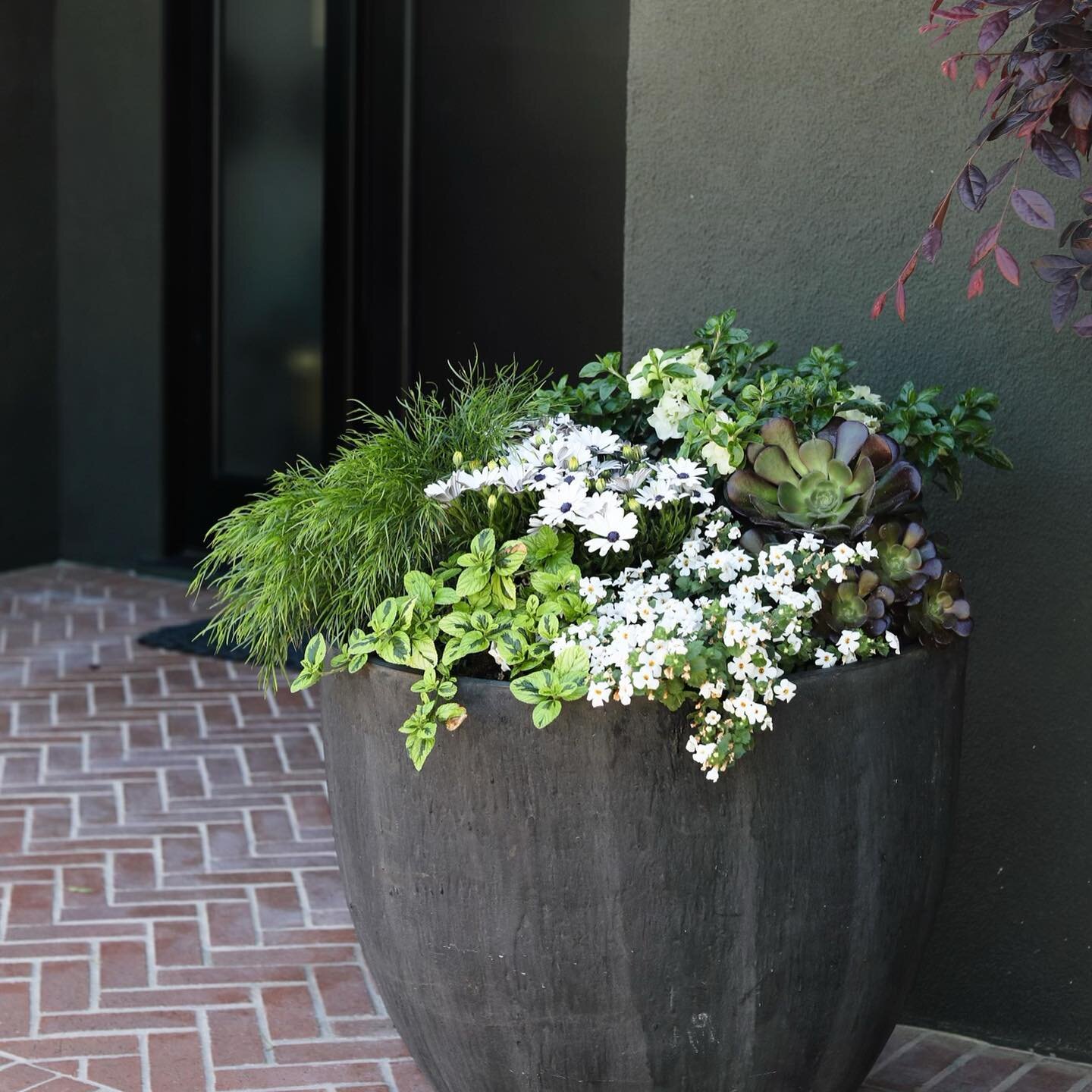 Our annual springtime workshop is here! This Friday, 5/19 we'll be hosting a container gardening workshop with our favorite outdoor annual and perennial flowering plants for your doorstep. Swipe to see some of the beautiful containers arranged and gr