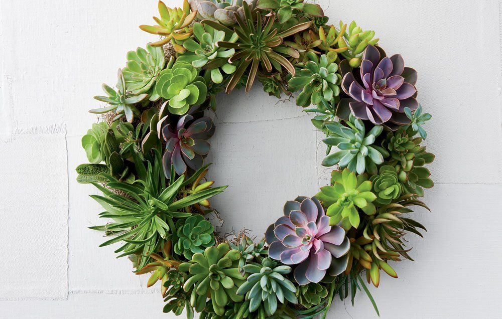 Succulent Wreath Making Workshop