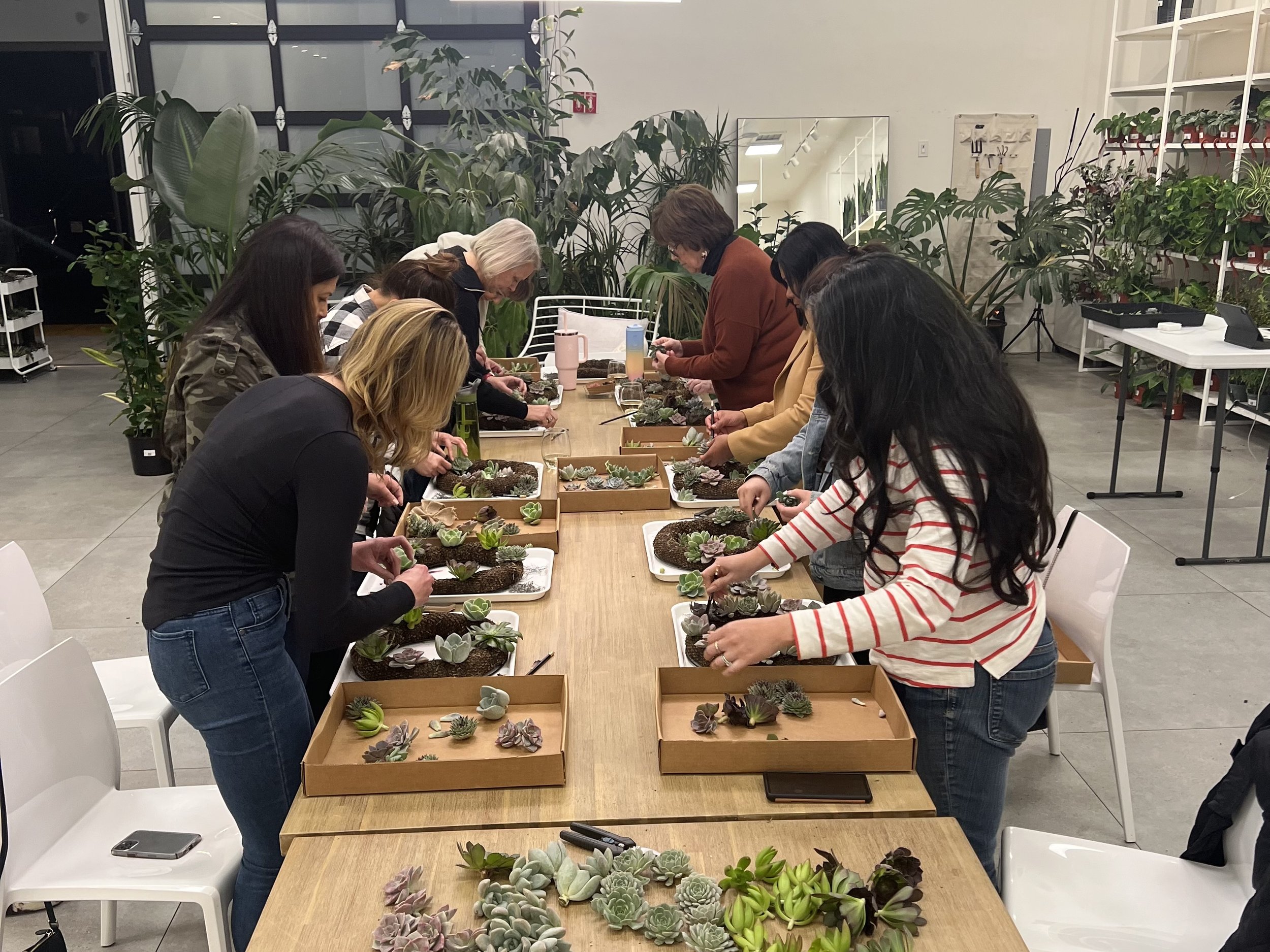 Succulent Wreath Making