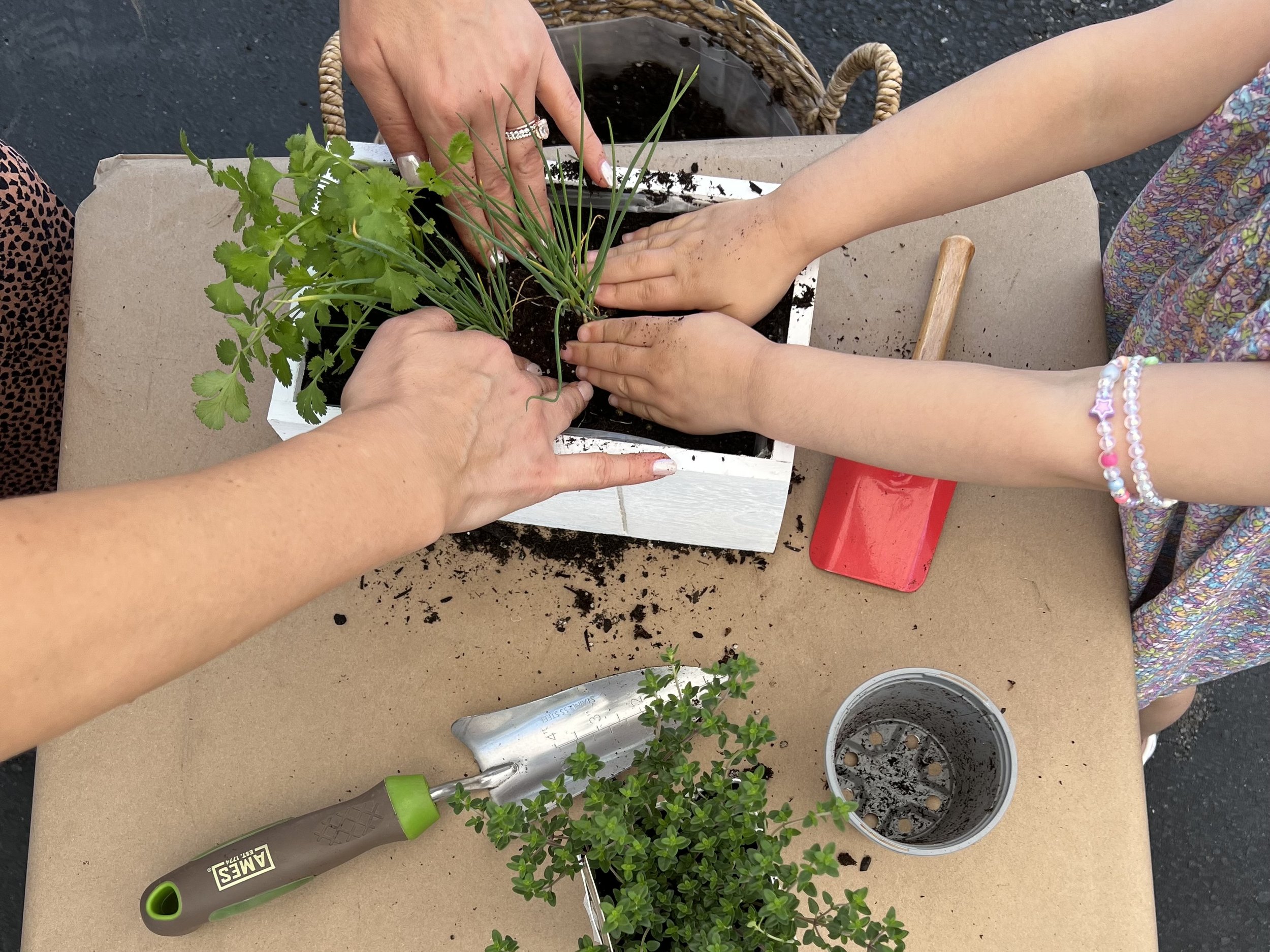 Kid's Herb Gardening Workshop