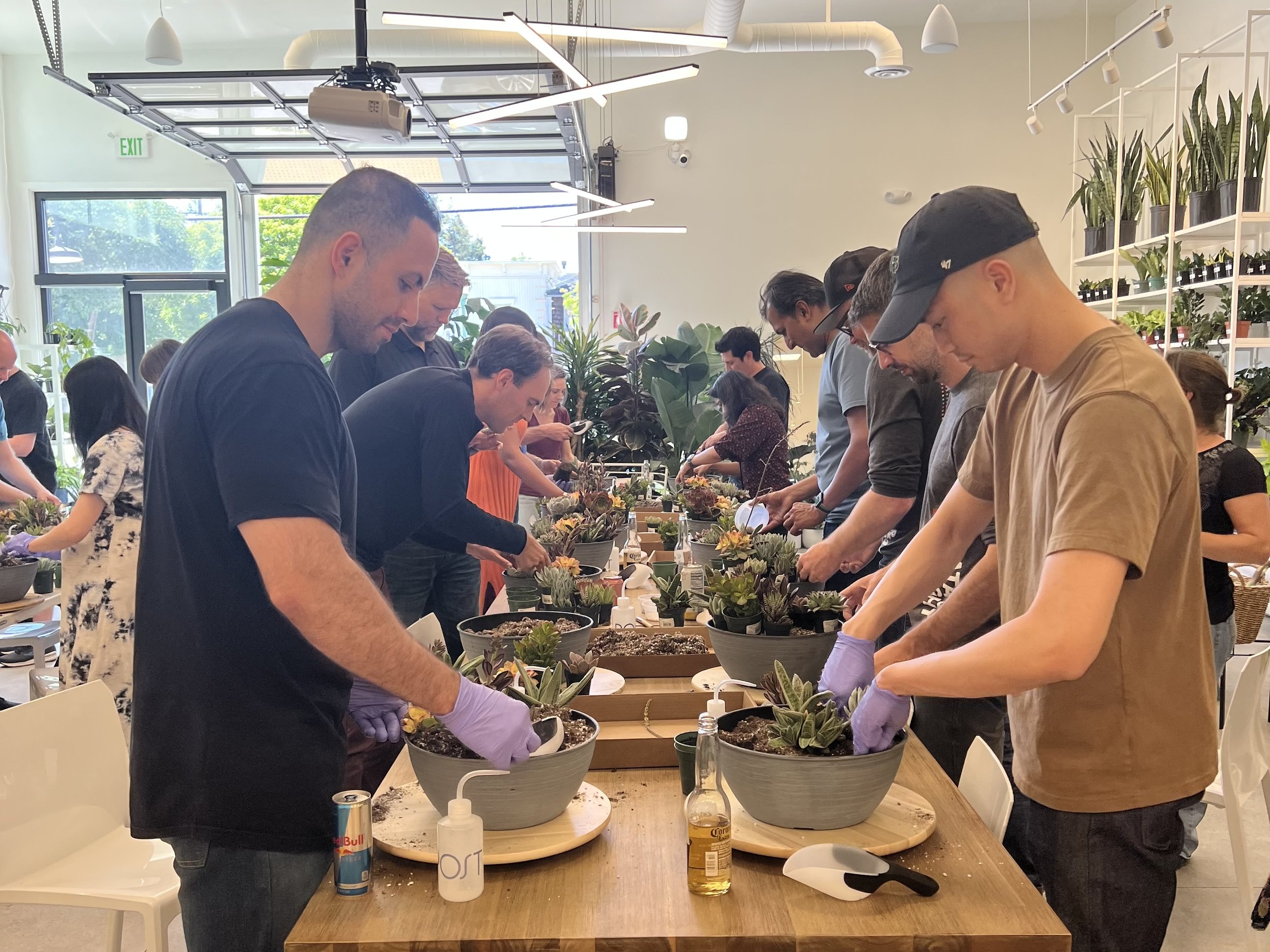 Succulent Arranging Workshop