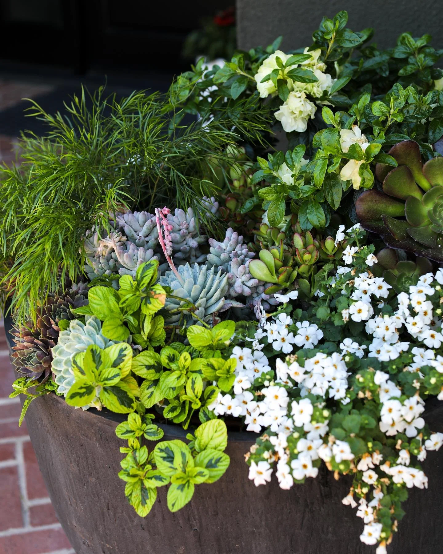 Ideas for your next container garden🌱

#porchflowers #containergarden #containergardening