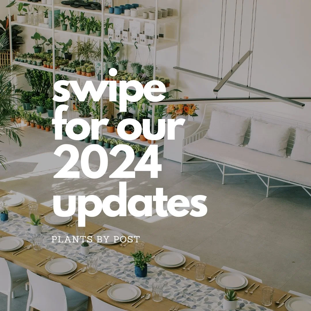 Our latest news🌿 Looking forward to 2024 and helping you find your perfect plant!