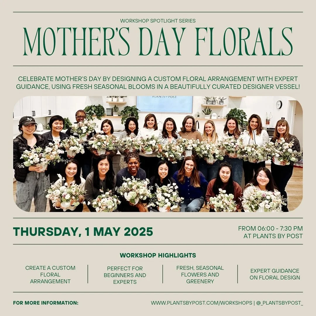 💐✨ Workshop Spotlight Series: Mother&rsquo;s Day Floral Design Workshop with @blooms_bytara ✨💐

Celebrate Mother&rsquo;s Day with a beautiful hands-on floral design experience! 🌿💐 Whether you&rsquo;re creating a gift or centerpiece, this workshop
