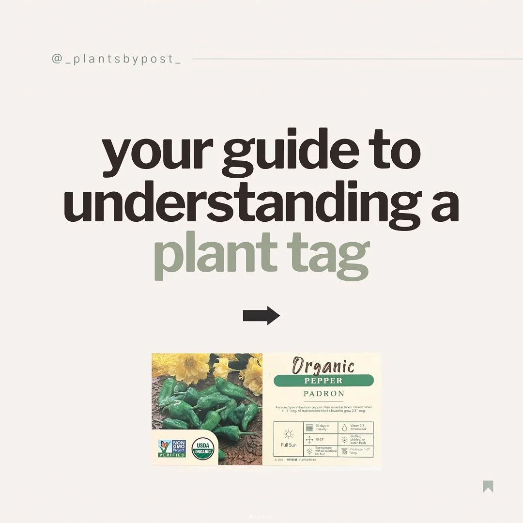Plant tags seem complicated? Let's break it down. Leave a comment with any other questions you may have!

#planttag #gardeninghowto #gardentips #gardeningtips #plantcaretips #planttips #howtoplant #houseplantcare #plantcare101 how to read a plant tag