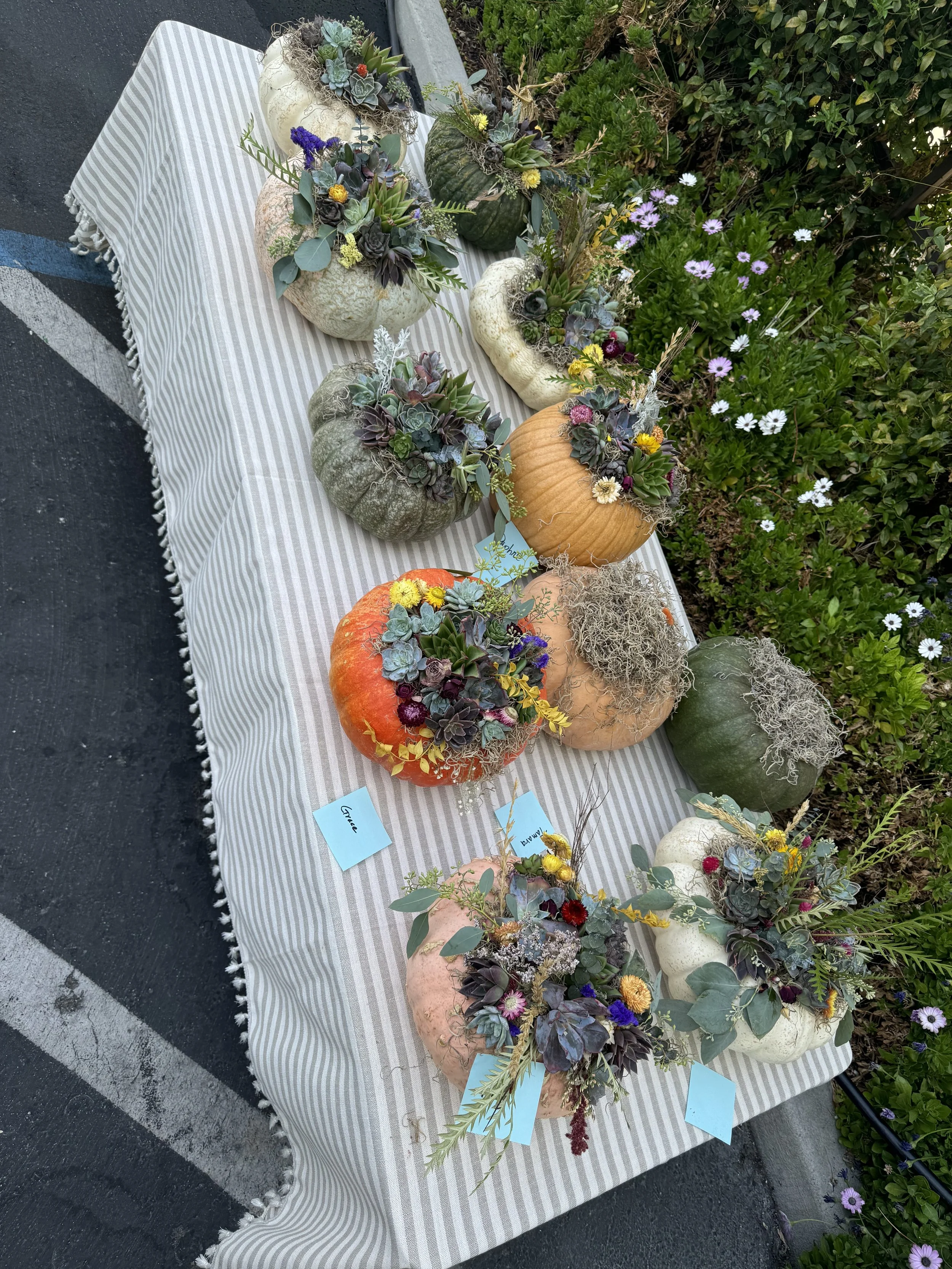 IMG_8341.jpeg