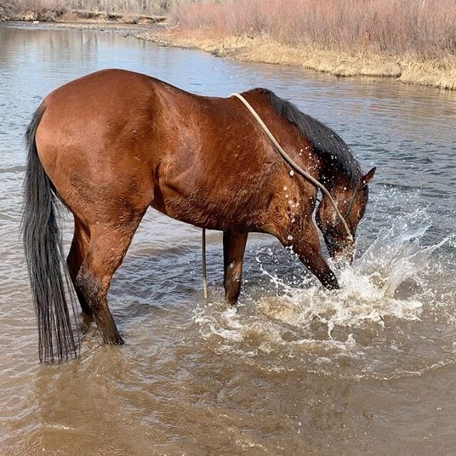 Mavericks first river experience ❤️❤️