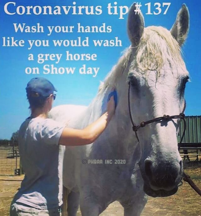 😉
.
.
 #ohthosegreys #coronavirus #washyourhands #ottb #ottbsofinstagram #horse #horsesofinstagram