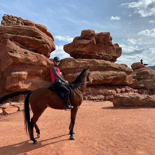 There are worse ways to practice social distancing 🐎❤️ .
.
.
.
#coronavirus #horsesofinstagram #ottb #ottbsofinstagram #exracehorse