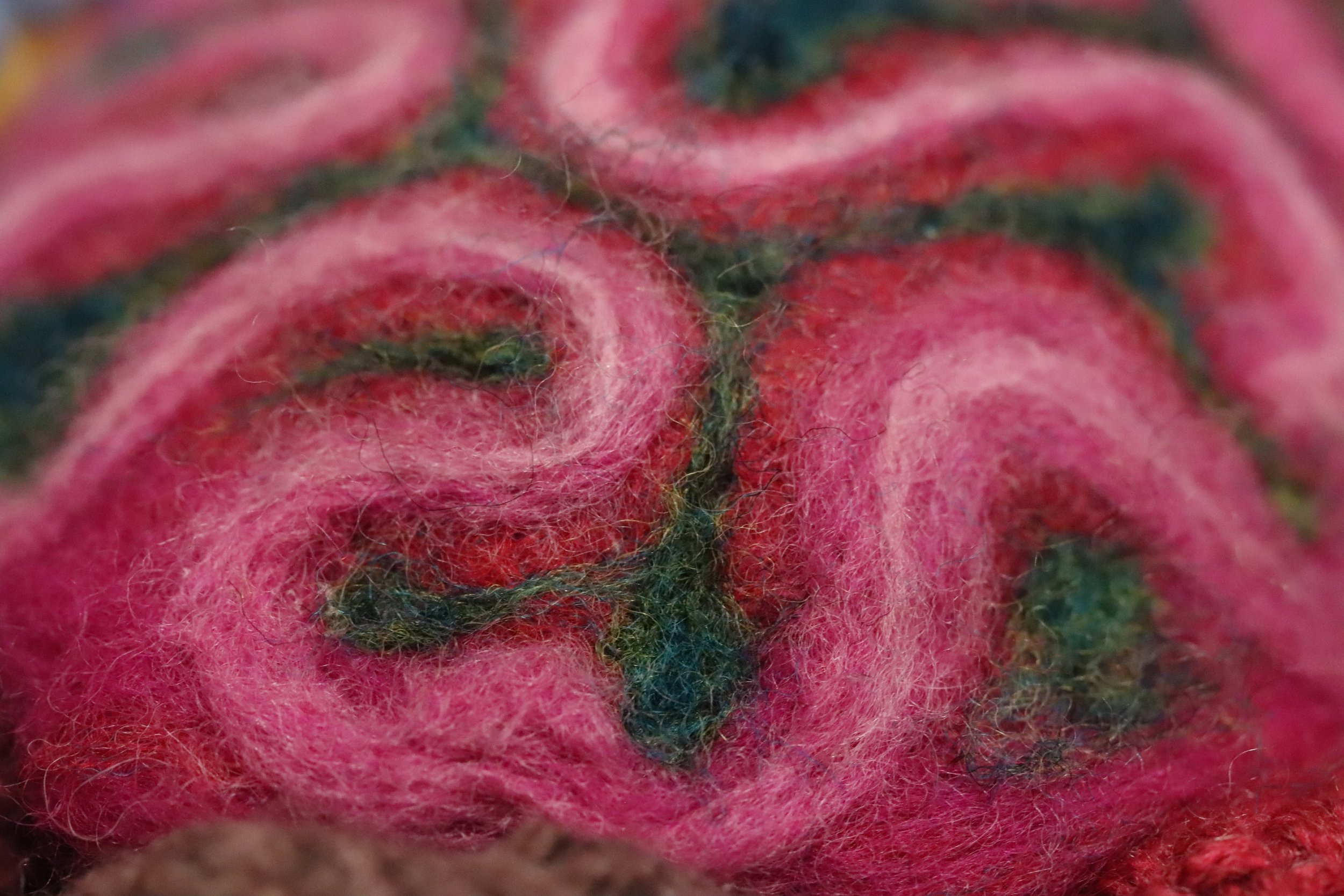 Braincoral1.jpg