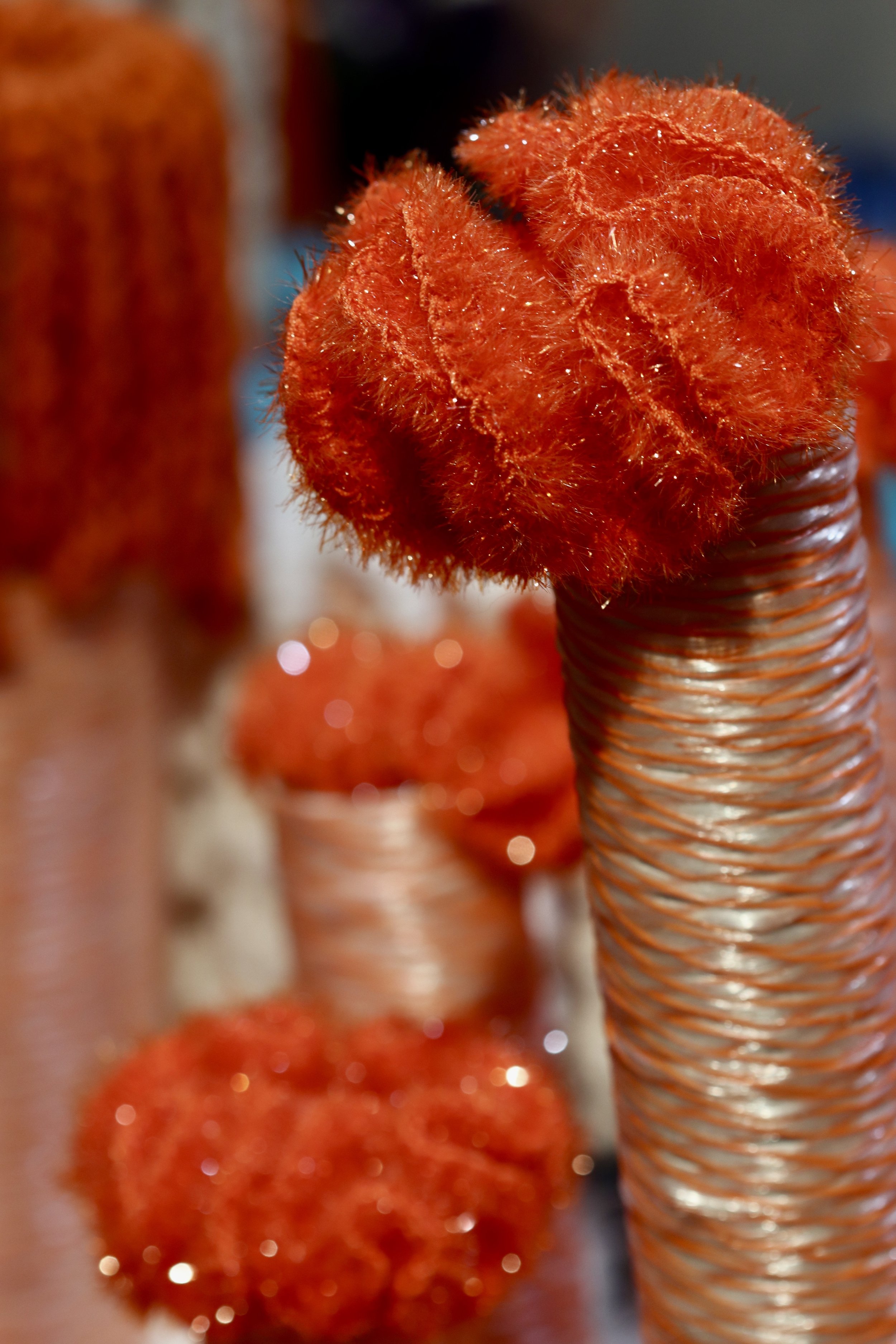 Corals3.jpg