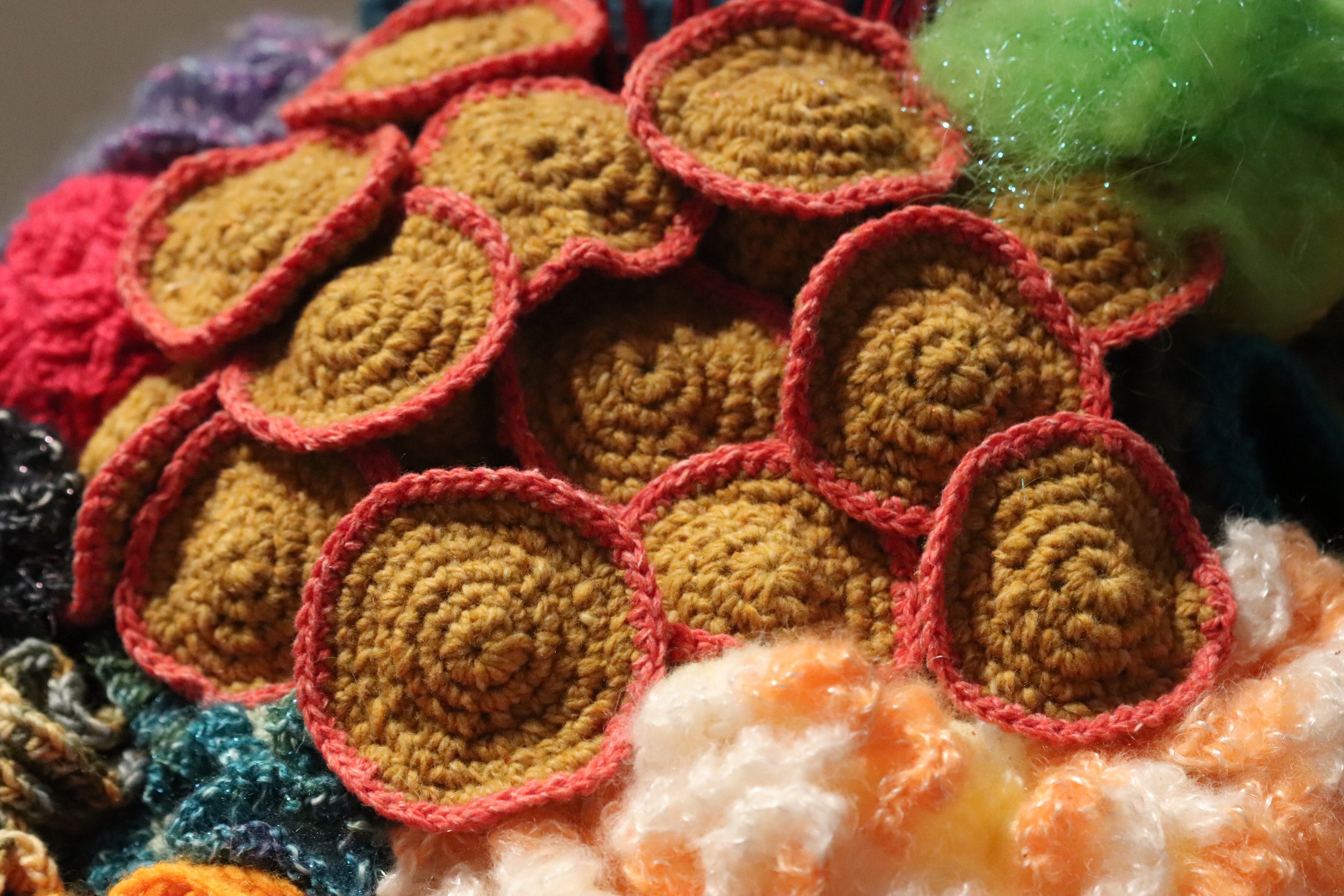 Corals6.jpg