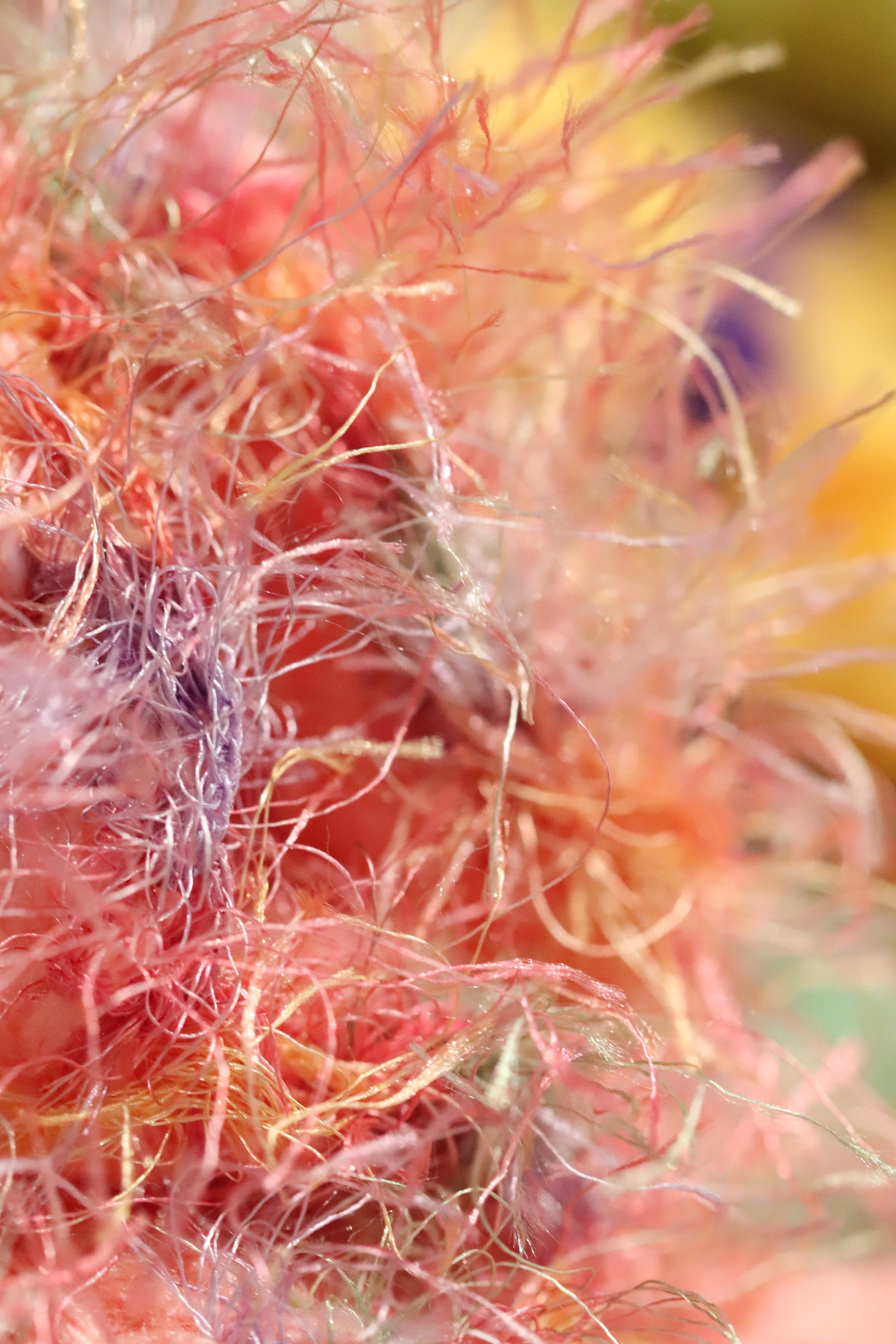 Corals8.jpg